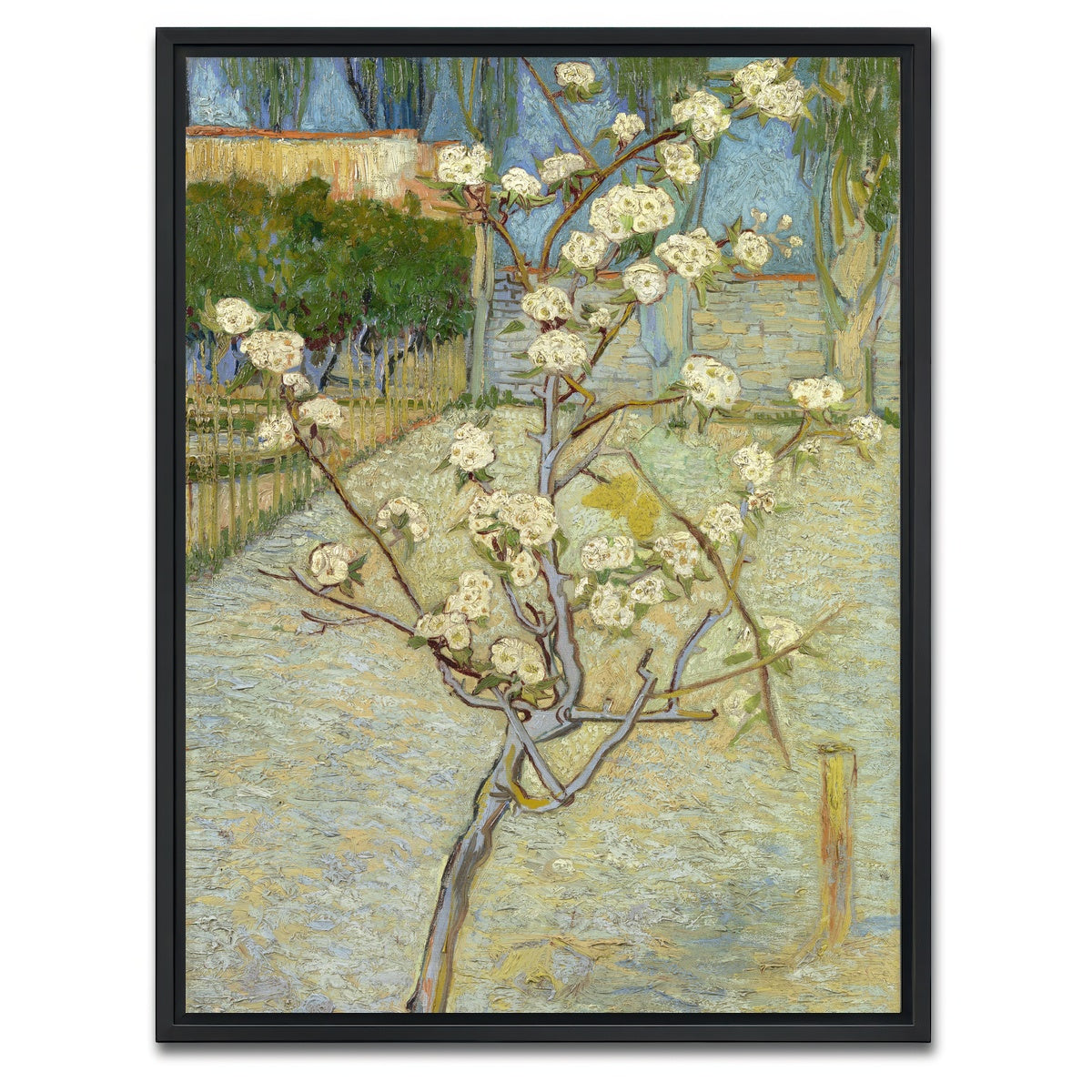 AUTO-MOCKUP WHITE | Perenboompje in bloei | 1 Piece | Black Framed Canvas | group=3x4