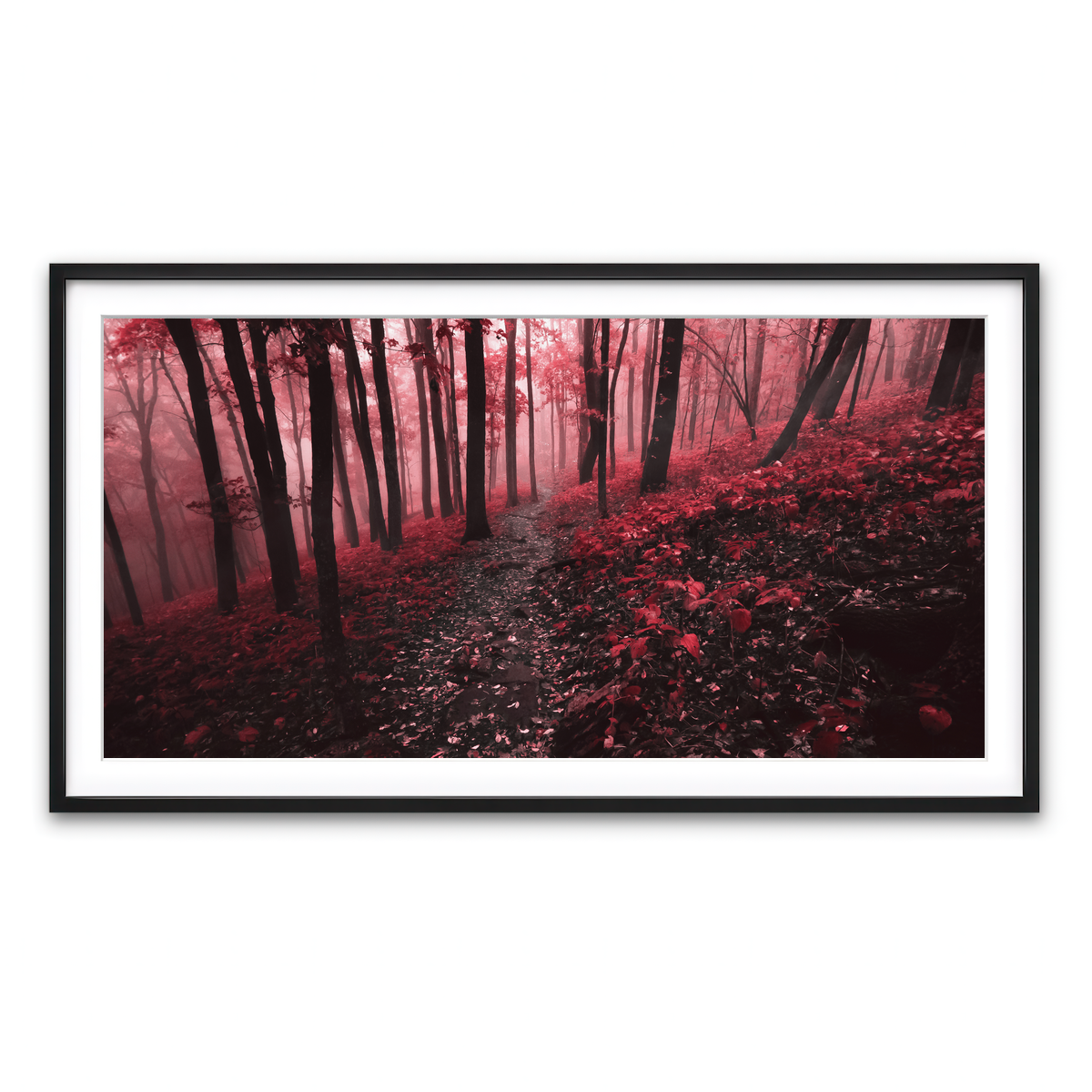 Framed Print 2x1 Black
