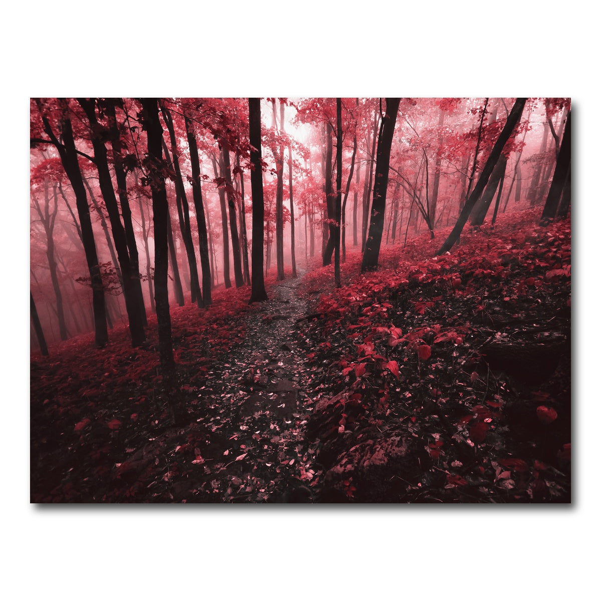 AUTO-MOCKUP WHITE | Red Forest | 1 Piece | Gallery Wrap Canvas | group=4x3