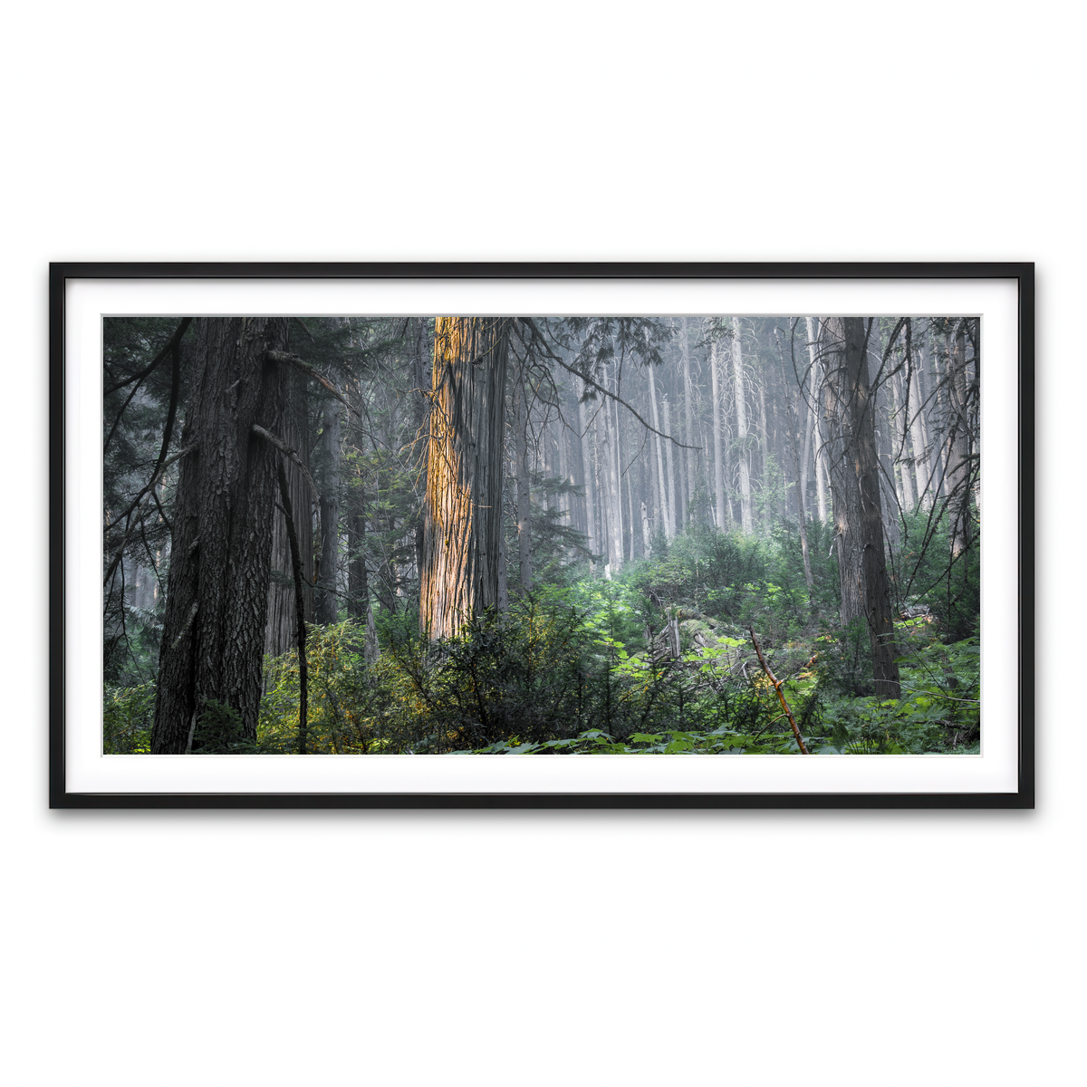 Framed Print 2x1 Black