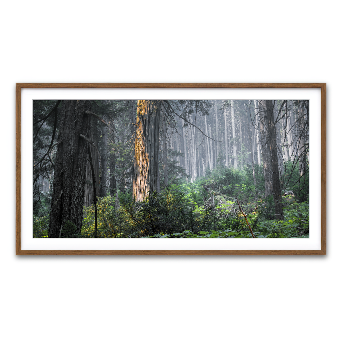 Framed Print 2x1 Walnut