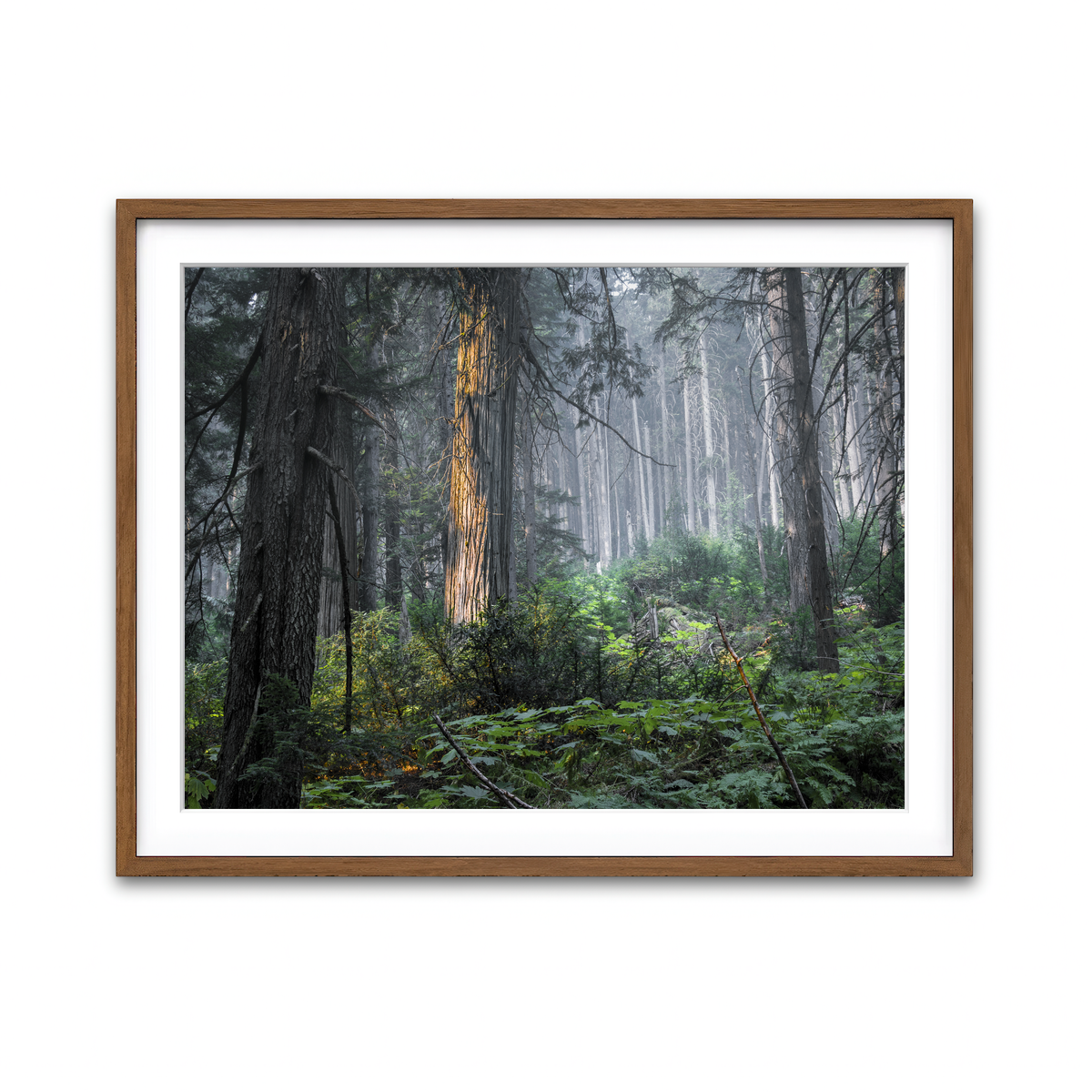 Framed Print 4x3 Walnut