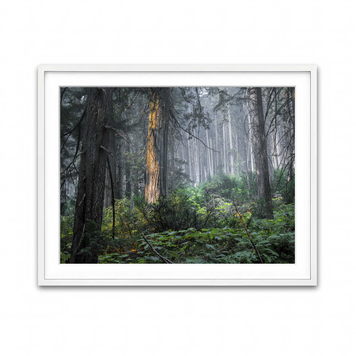 Framed Print 4x3 White