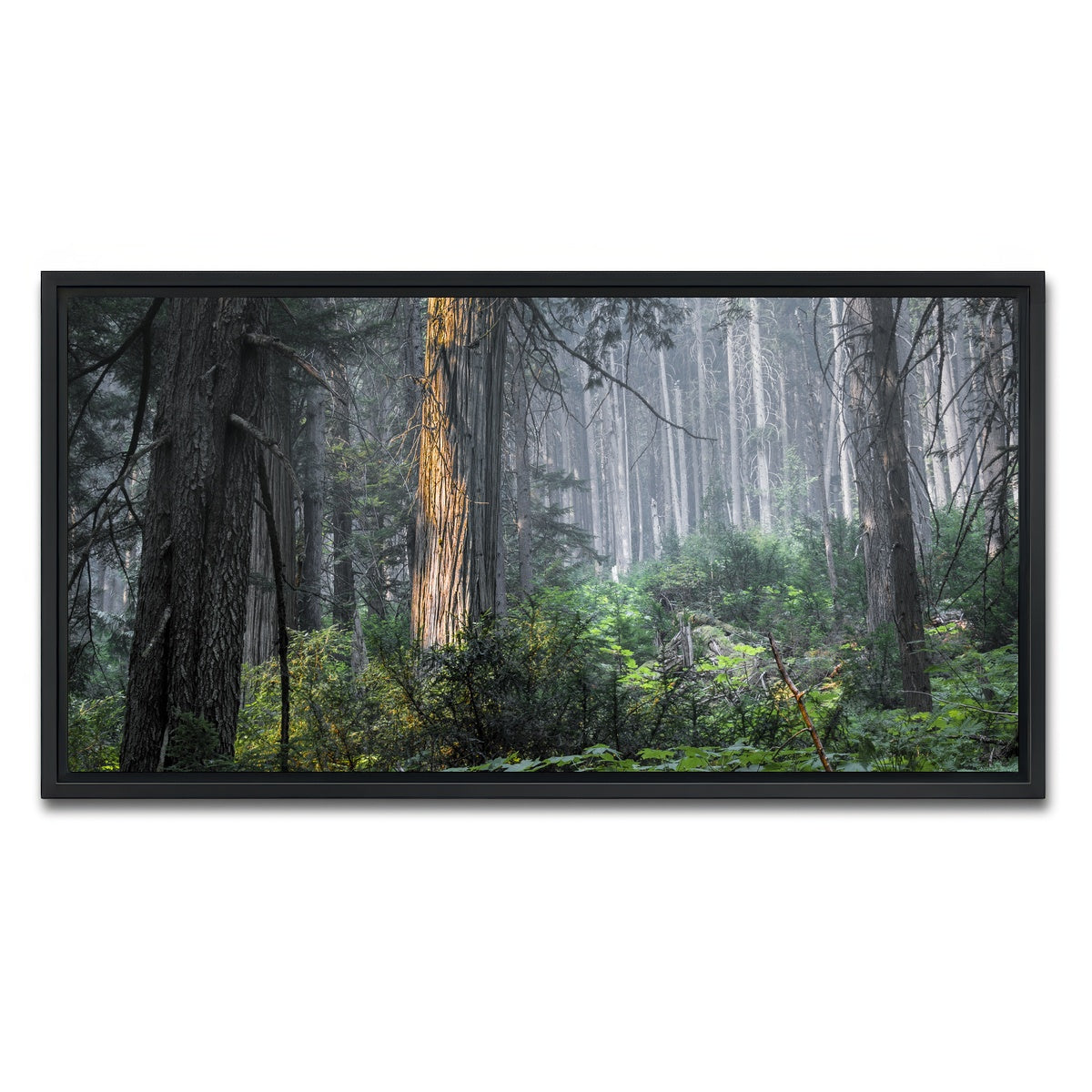 AUTO-MOCKUP WHITE | Revelstoke | 1 Piece | Black Framed Canvas | group=2x1