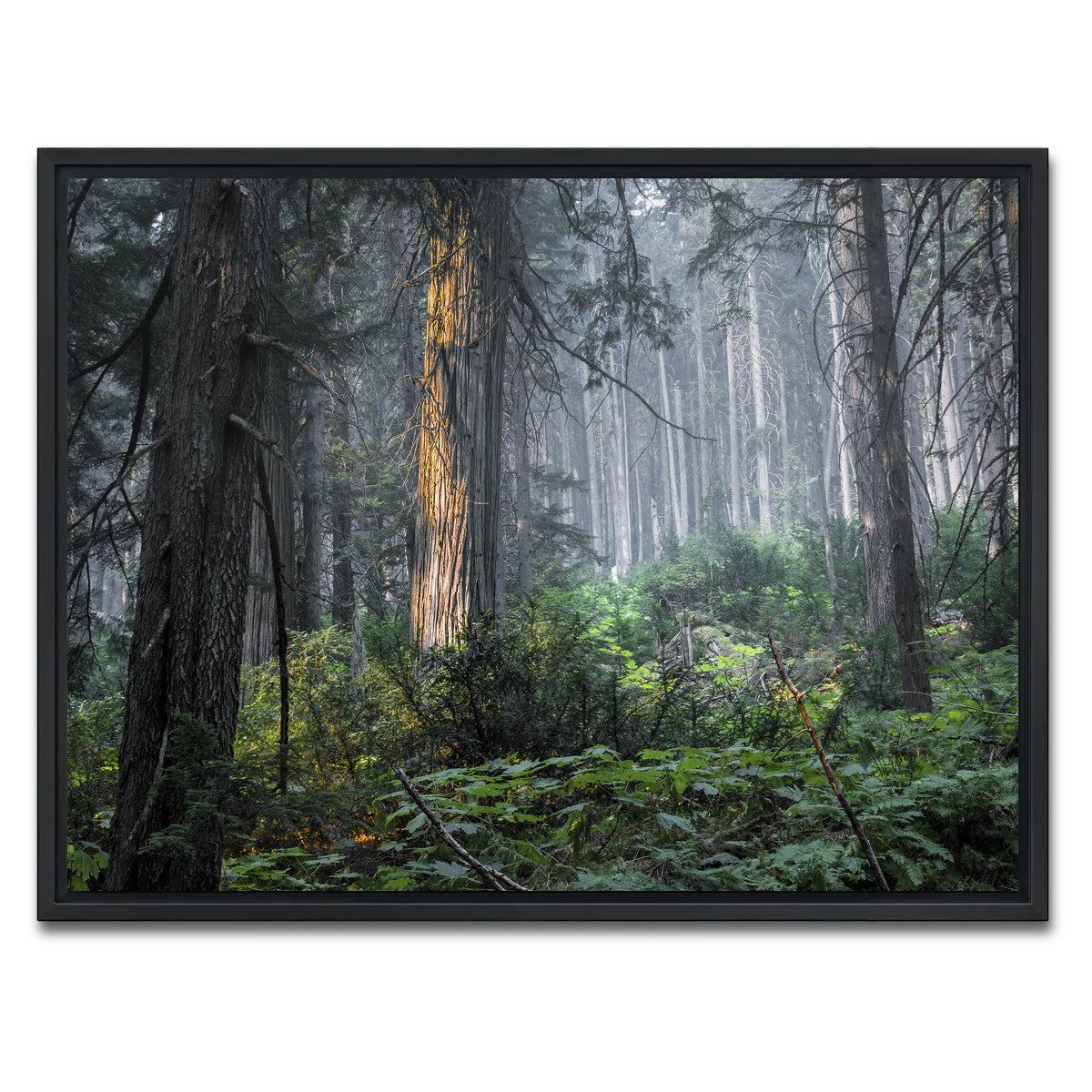 AUTO-MOCKUP WHITE | Revelstoke | 1 Piece | Black Framed Canvas | group=4x3