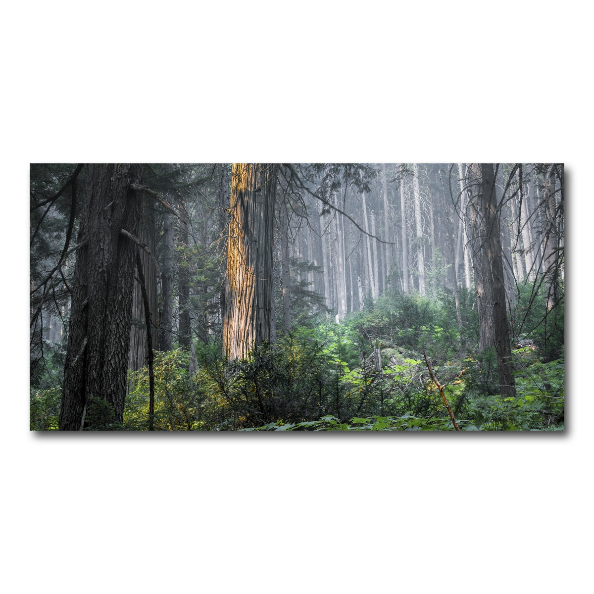 AUTO-MOCKUP WHITE | Revelstoke | 1 Piece | Gallery Wrap Canvas | group=2x1