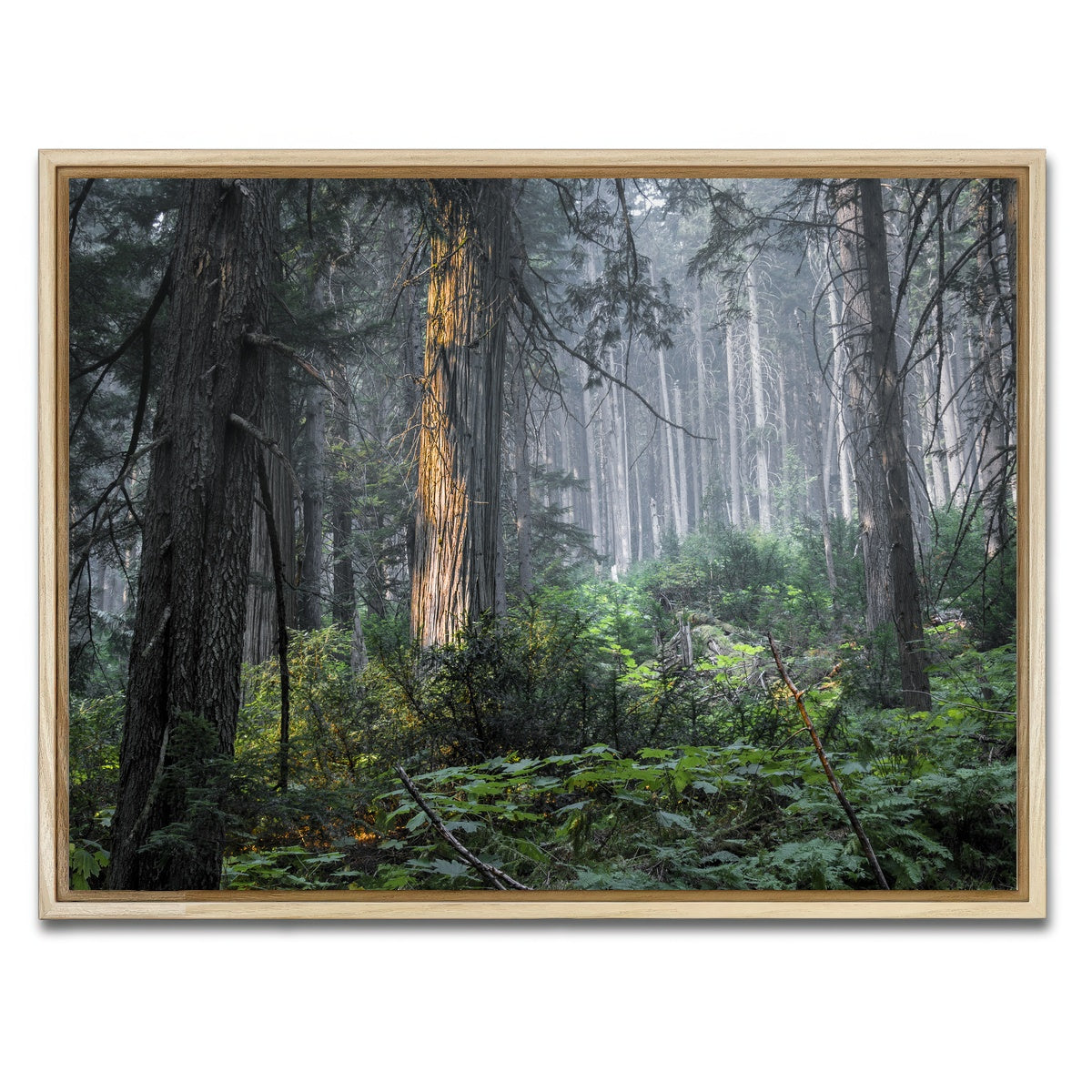 AUTO-MOCKUP WHITE | Revelstoke | 1 Piece | Natural Framed Canvas | group=4x3