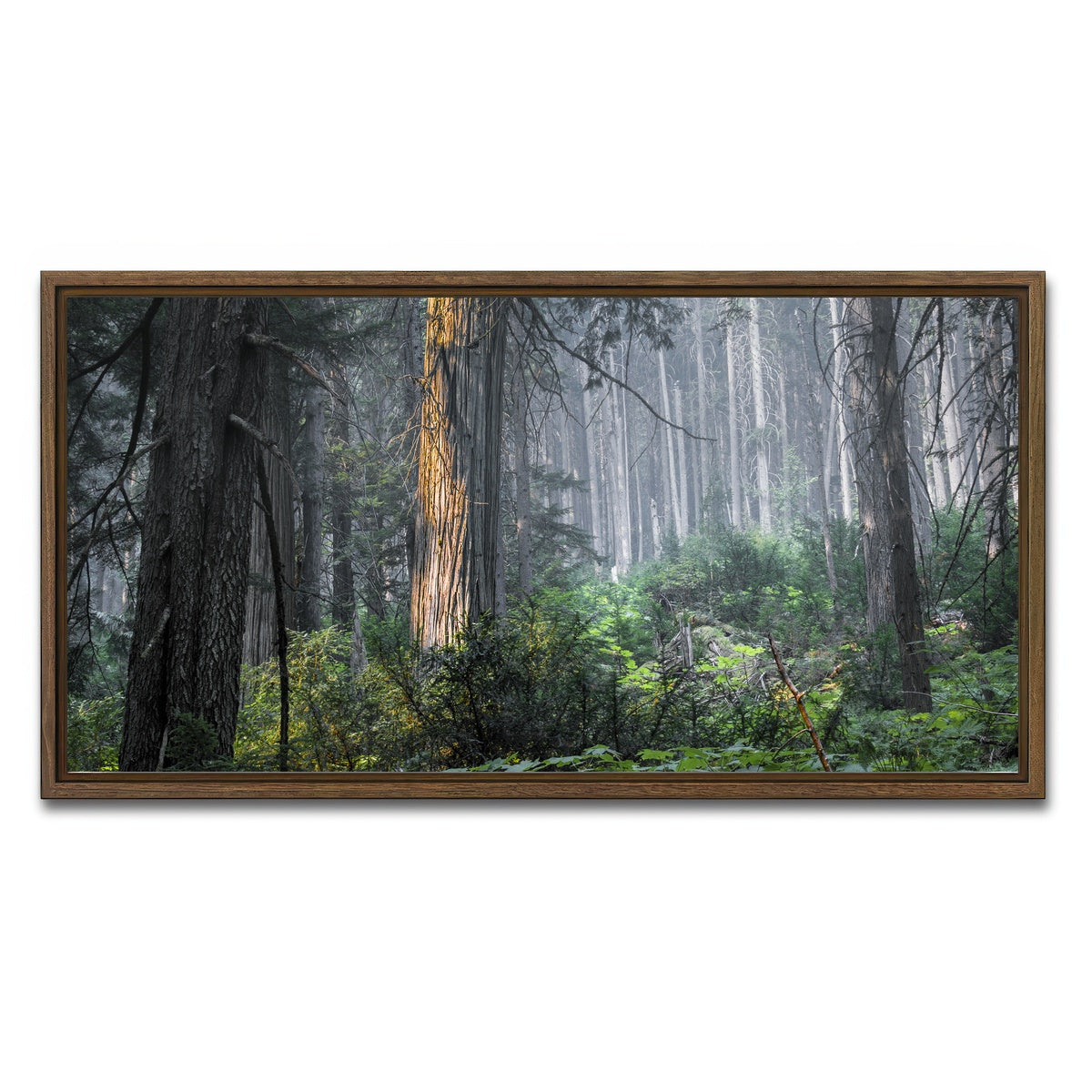 AUTO-MOCKUP WHITE | Revelstoke | 1 Piece | Walnut Framed Canvas | group=2x1