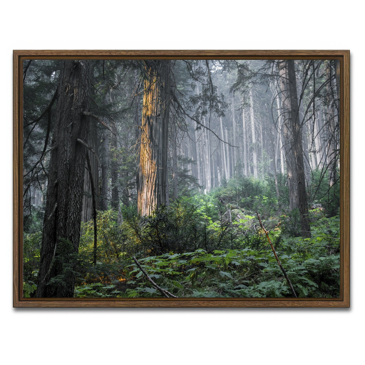 AUTO-MOCKUP WHITE | Revelstoke | 1 Piece | Walnut Framed Canvas | group=4x3