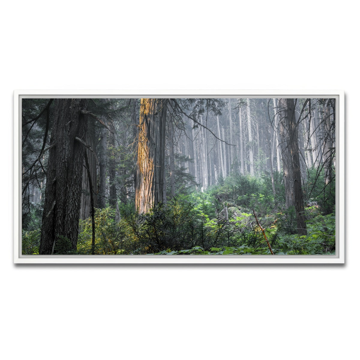 AUTO-MOCKUP WHITE | Revelstoke | 1 Piece | White Framed Canvas | group=2x1