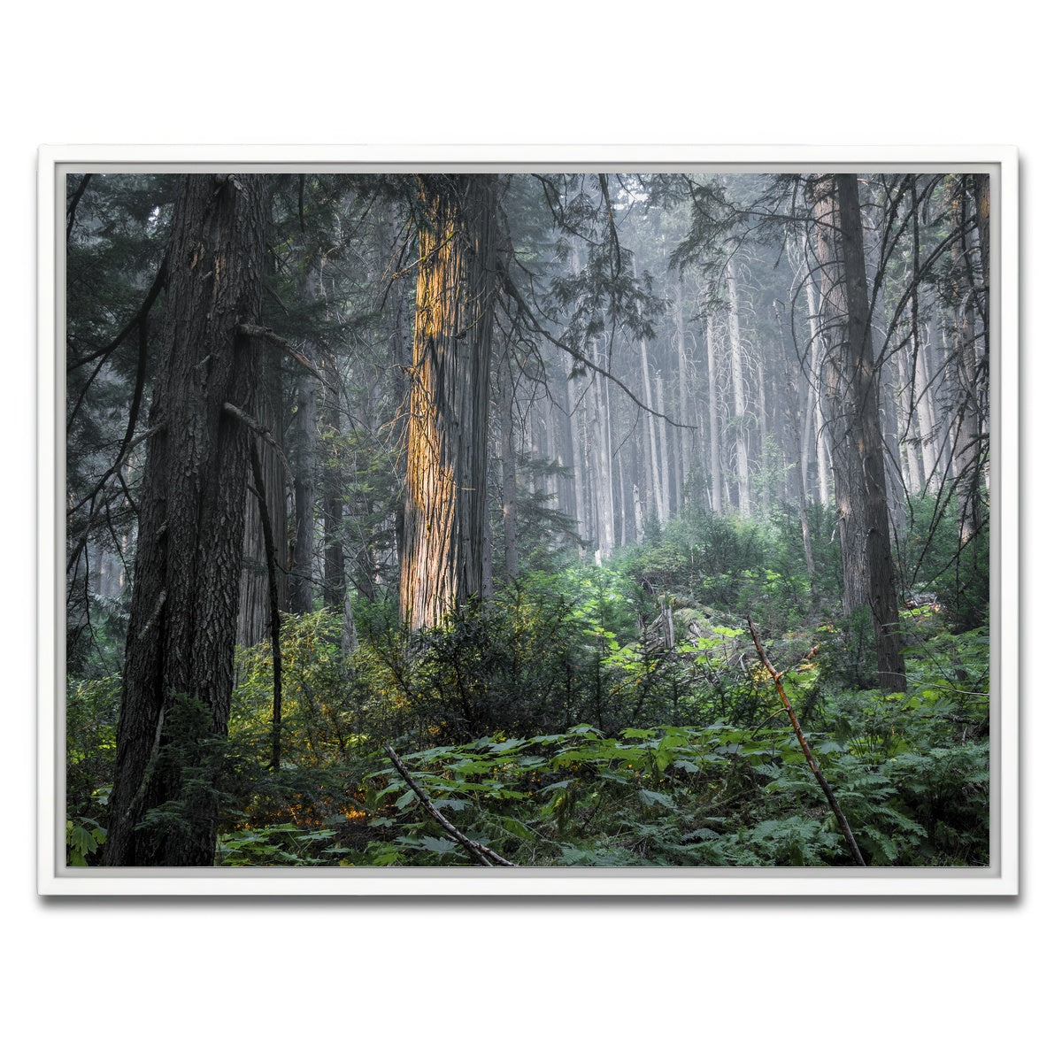 AUTO-MOCKUP WHITE | Revelstoke | 1 Piece | White Framed Canvas | group=4x3