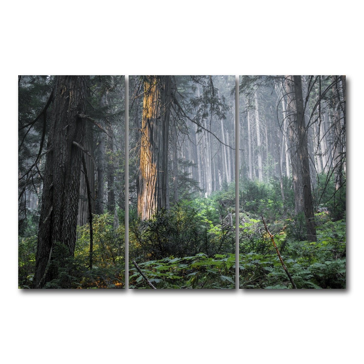 AUTO-MOCKUP WHITE | Revelstoke | 3 Piece | Gallery Wrap Canvas | group=12x24