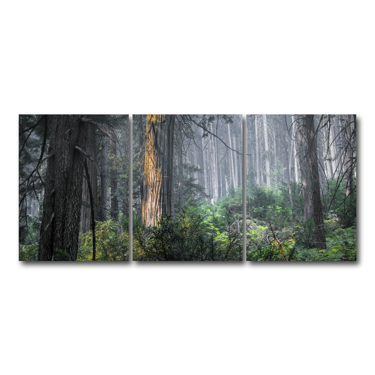 AUTO-MOCKUP WHITE | Revelstoke | 3 Piece | Gallery Wrap Canvas | group=18x24
