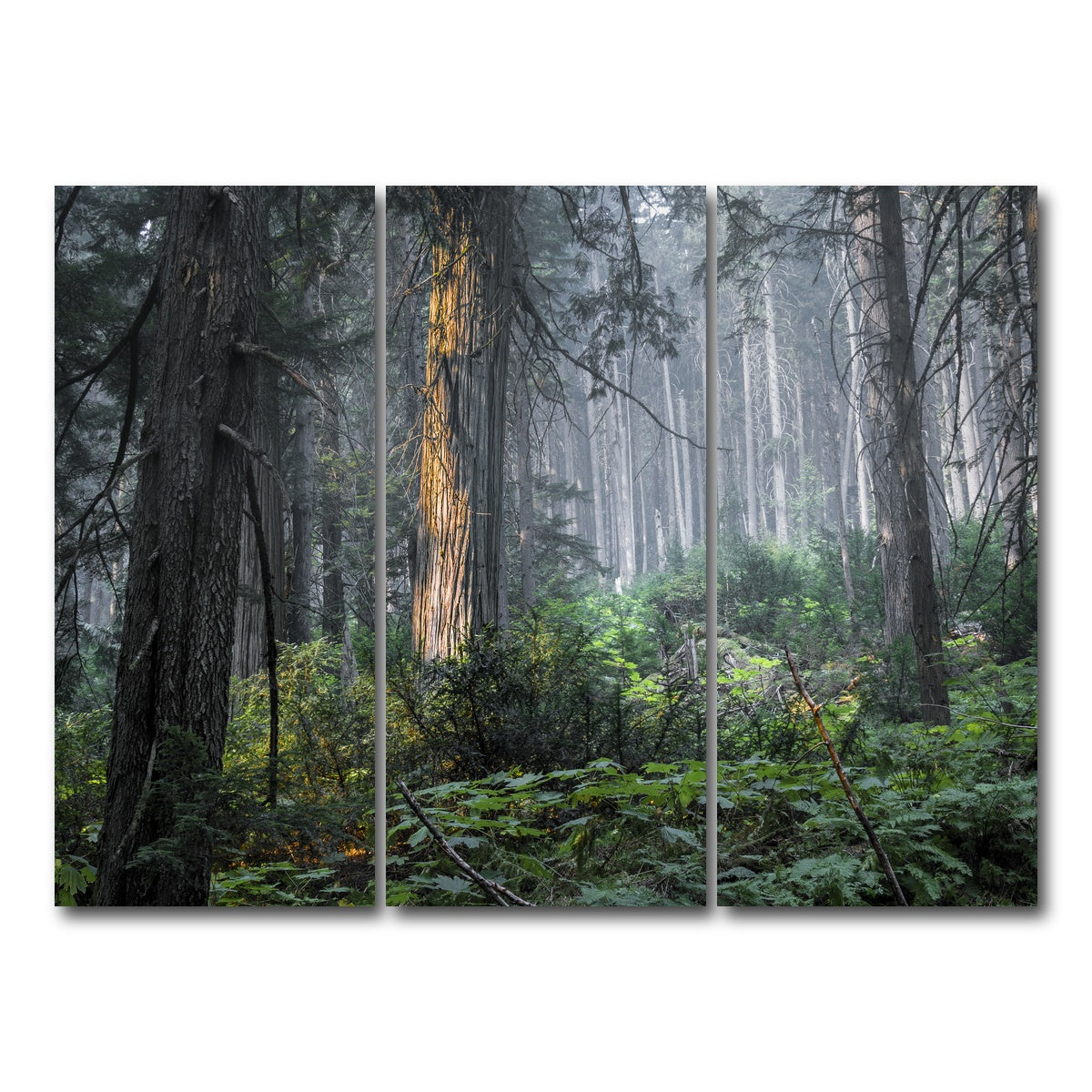 AUTO-MOCKUP WHITE | Revelstoke | 3 Piece | Gallery Wrap Canvas | group=8x18