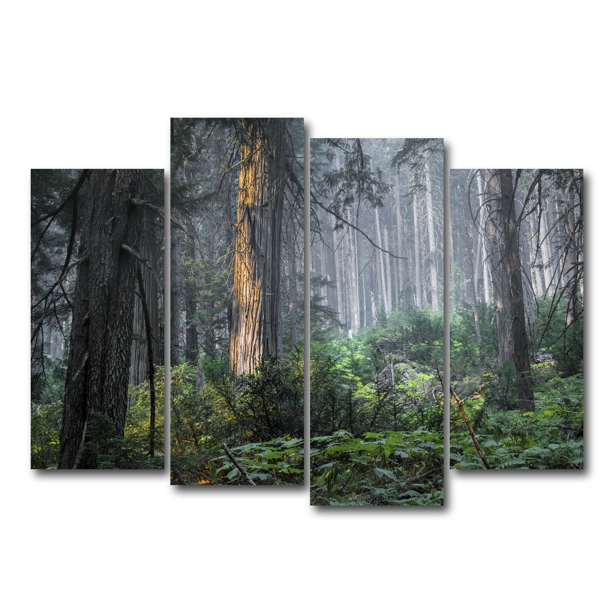 AUTO-MOCKUP WHITE | Revelstoke | 4 Piece | Gallery Wrap Canvas | group=4_normal