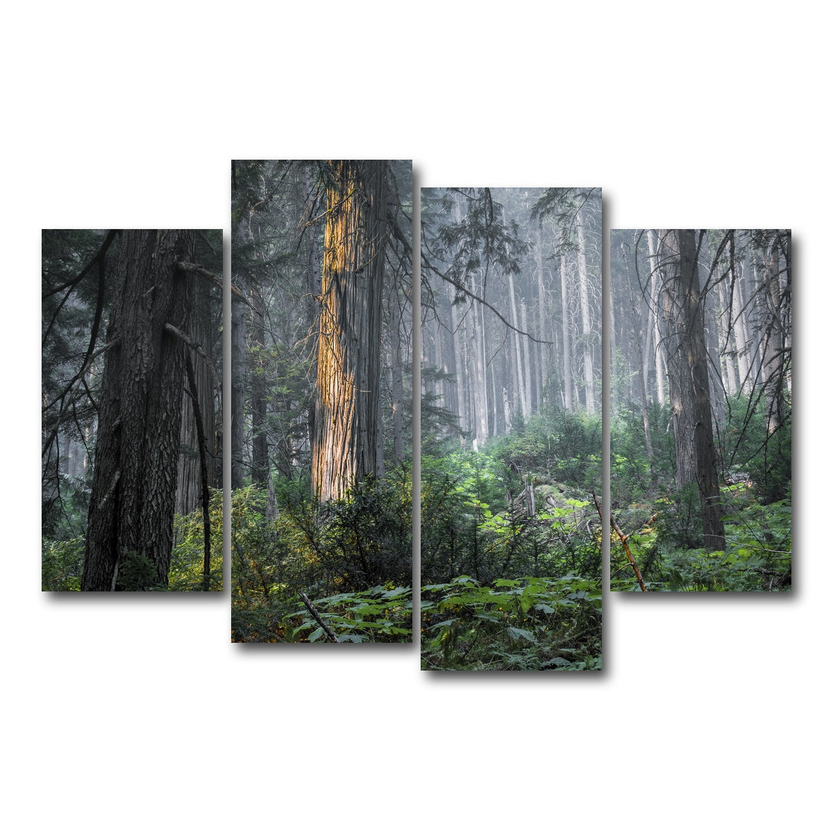 AUTO-MOCKUP WHITE | Revelstoke | 4 Piece | Gallery Wrap Canvas | group=4_short