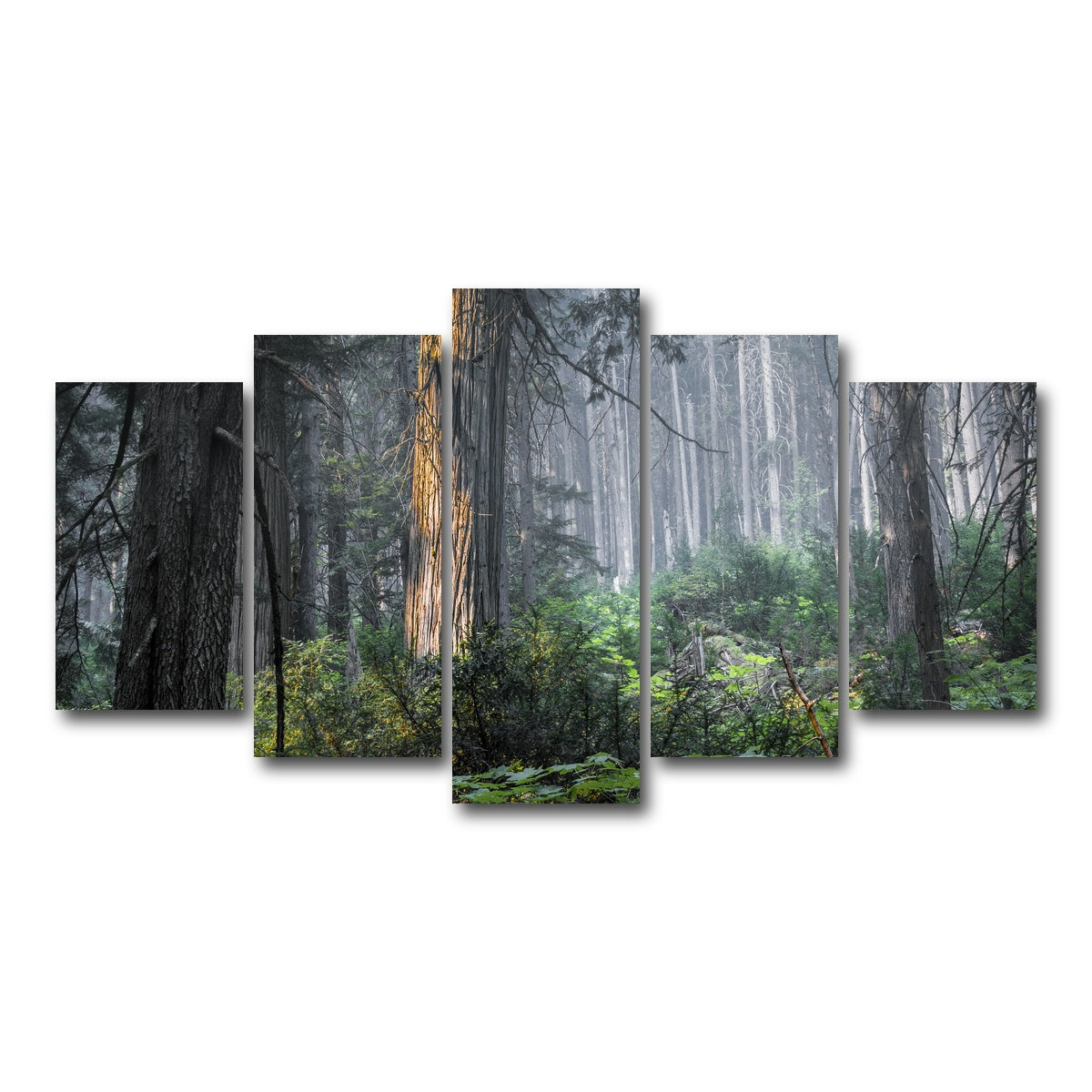 AUTO-MOCKUP WHITE | Revelstoke | 5 Piece | Gallery Wrap Canvas | group=5_normal