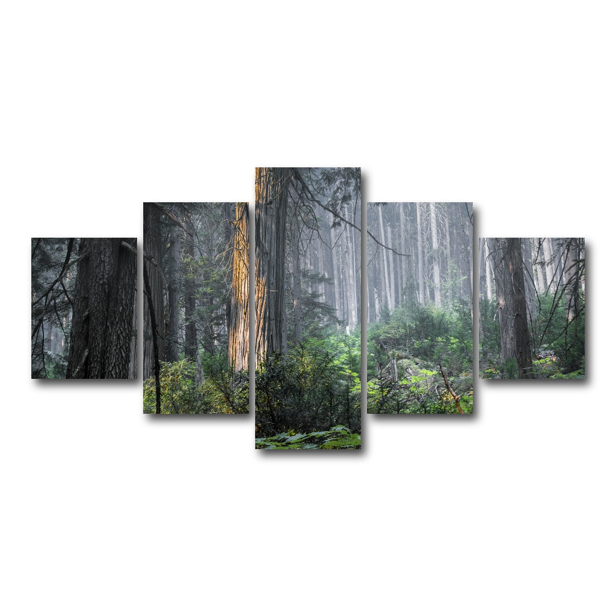 AUTO-MOCKUP WHITE | Revelstoke | 5 Piece | Gallery Wrap Canvas | group=5_short