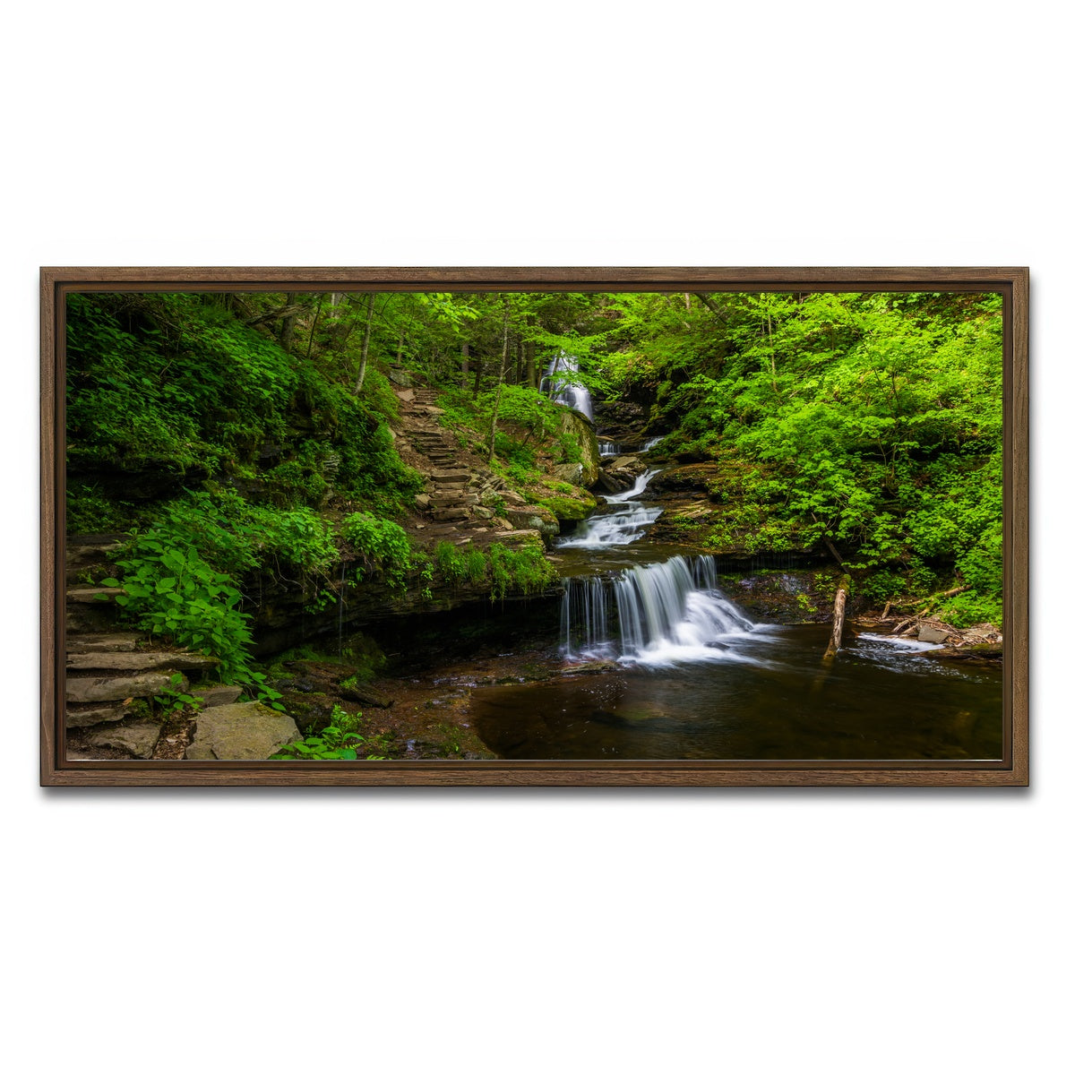 AUTO-MOCKUP WHITE | Ricketts Glen State Park | 1 Piece | Walnut Framed Canvas | group=2x1
