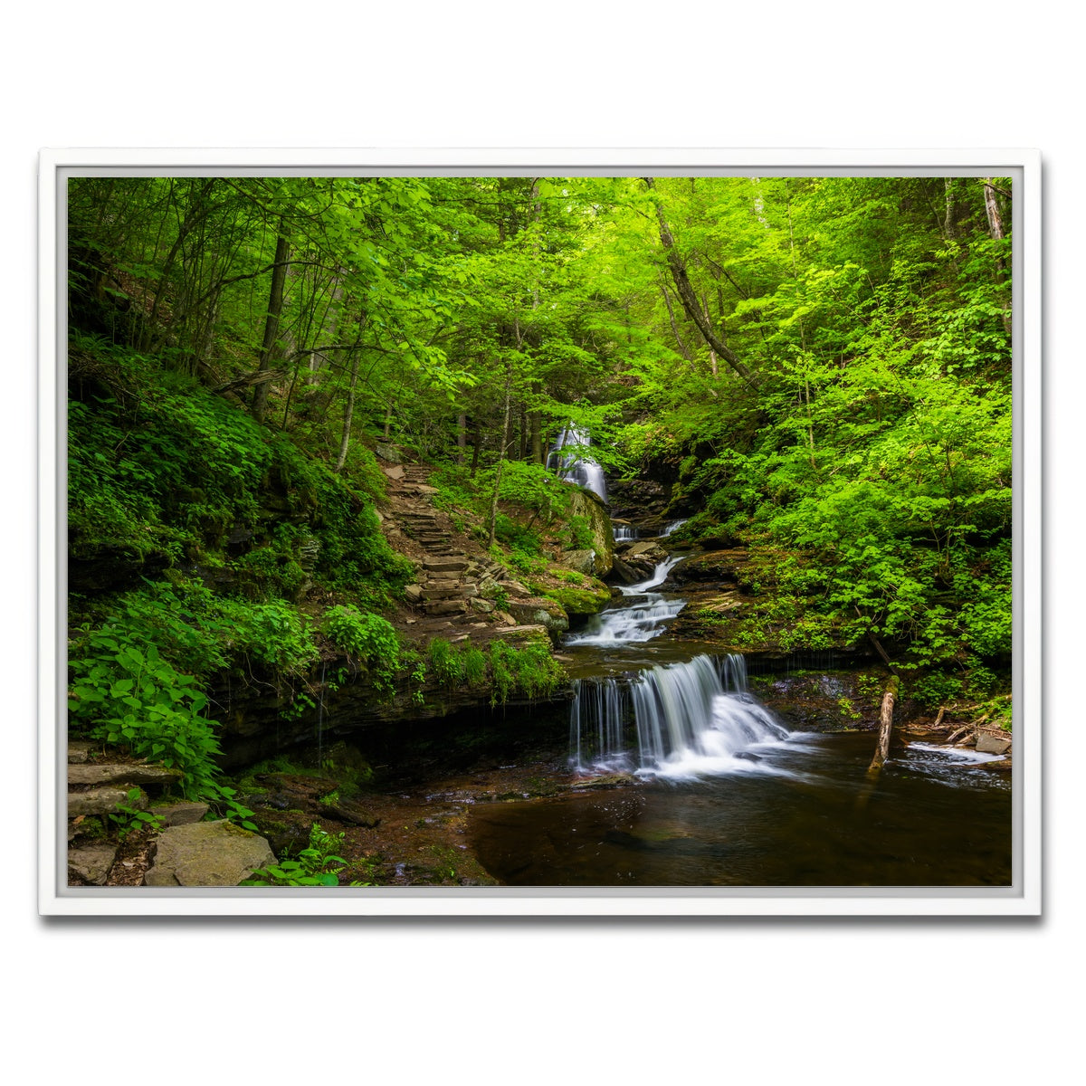 AUTO-MOCKUP WHITE | Ricketts Glen State Park | 1 Piece | White Framed Canvas | group=4x3