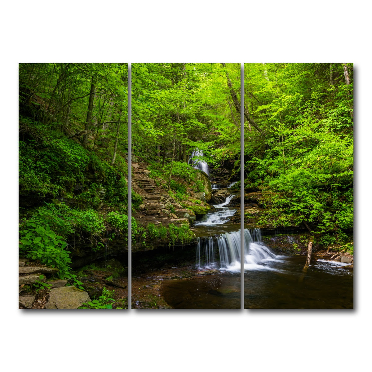 AUTO-MOCKUP WHITE | Ricketts Glen State Park | 3 Piece | Gallery Wrap Canvas | group=8x18
