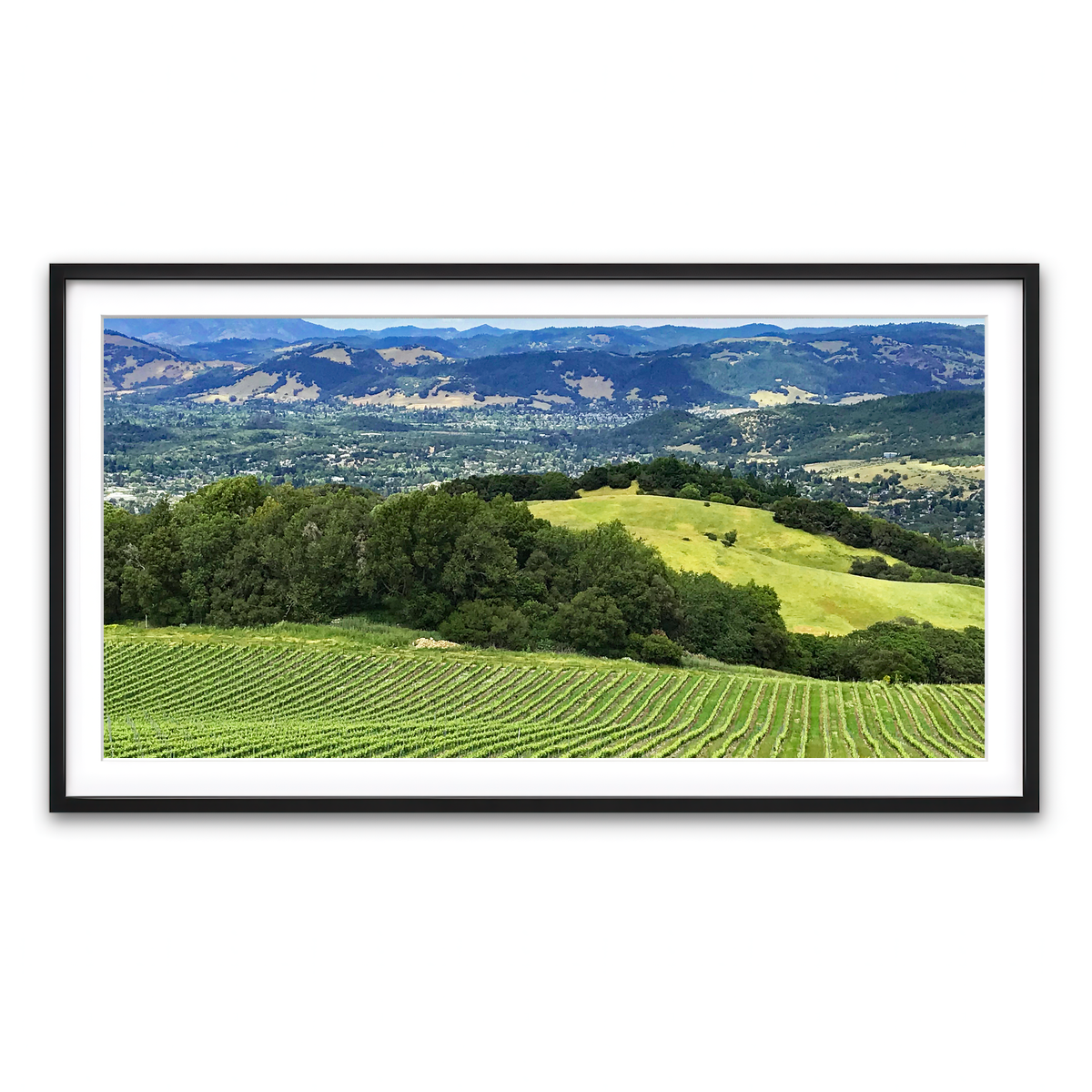 Framed Print 2x1 Black