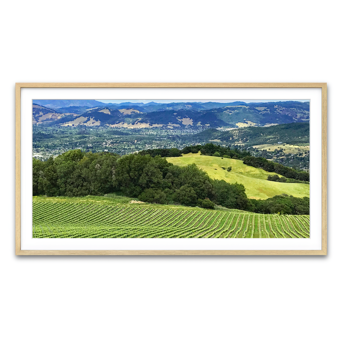 Rolling Hills and Vineyards of Sonoma County Wall Art