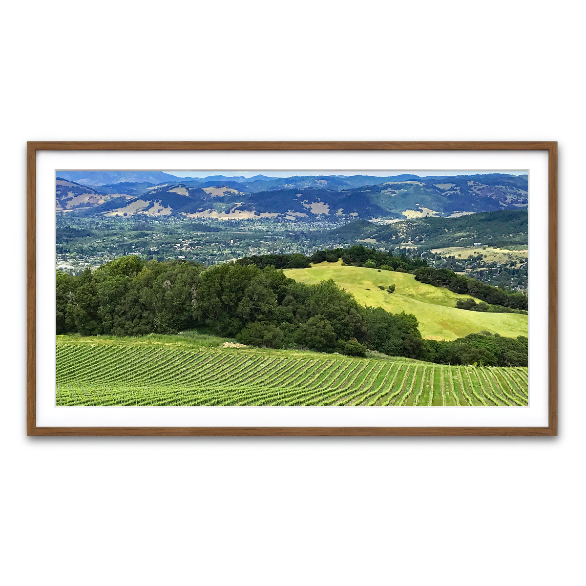 Rolling Hills and Vineyards of Sonoma County Wall Art