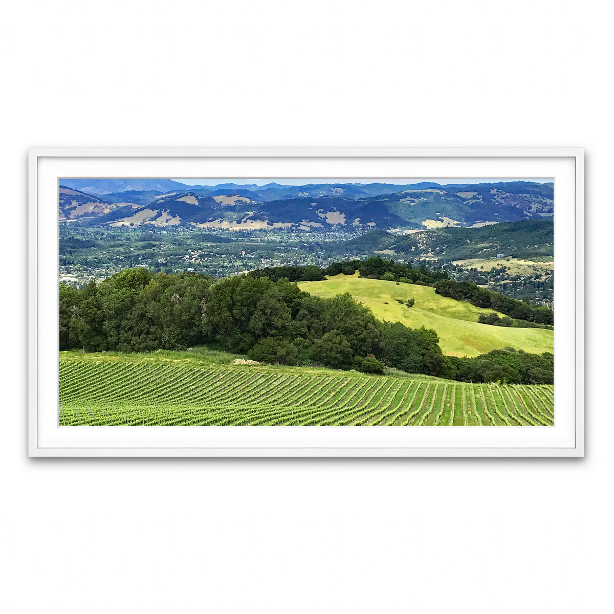 Rolling Hills and Vineyards of Sonoma County Wall Art