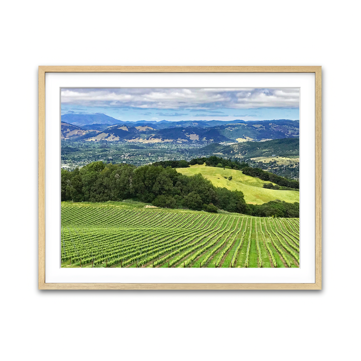 Rolling Hills and Vineyards of Sonoma County Wall Art