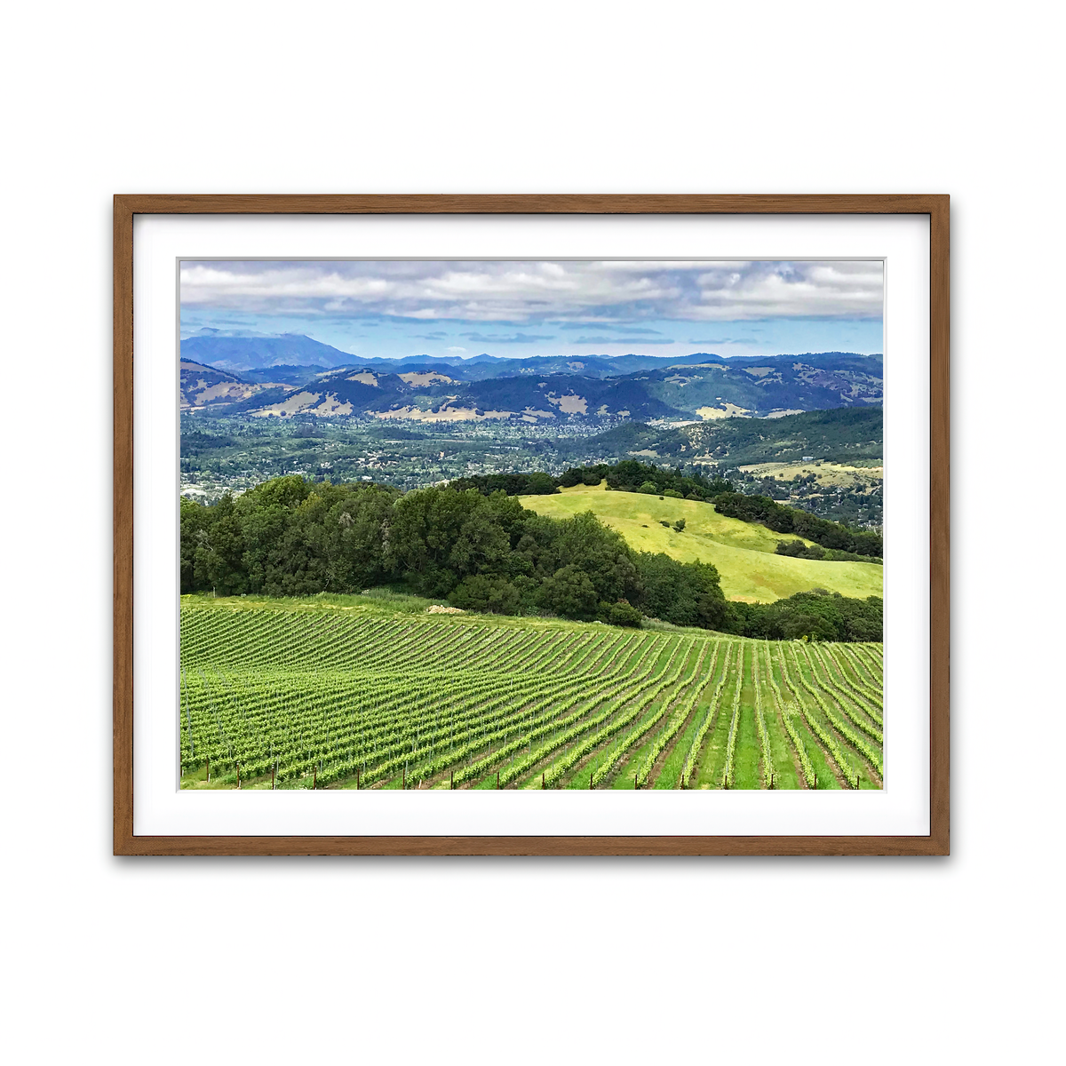 Rolling Hills and Vineyards of Sonoma County Wall Art