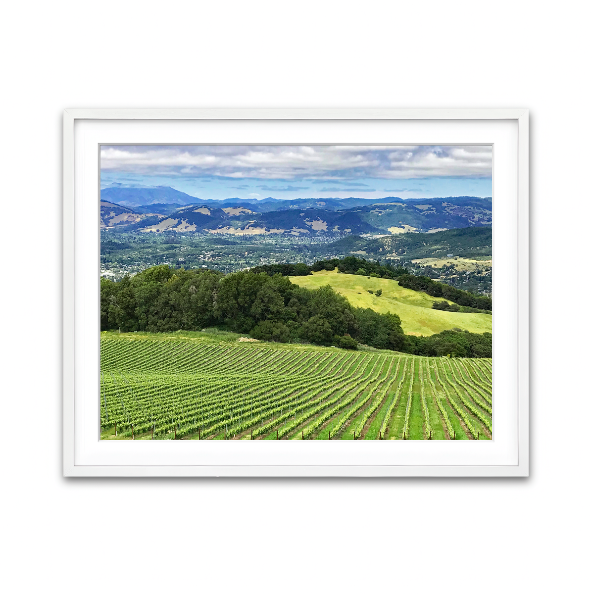 Rolling Hills and Vineyards of Sonoma County Wall Art