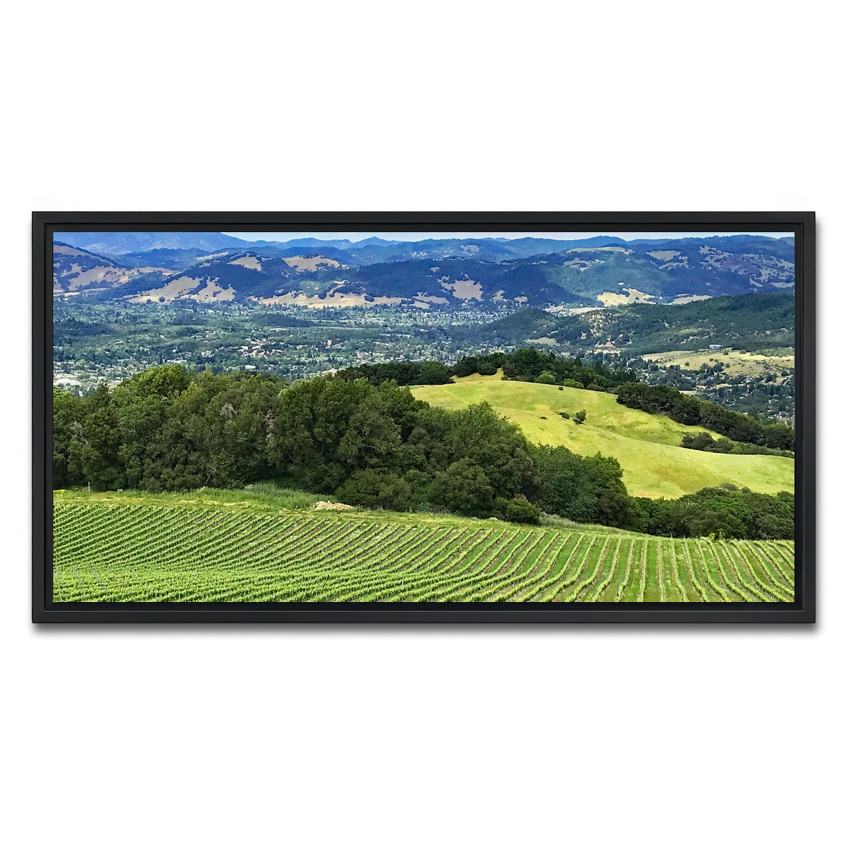 Rolling Hills and Vineyards of Sonoma County Wall Art
