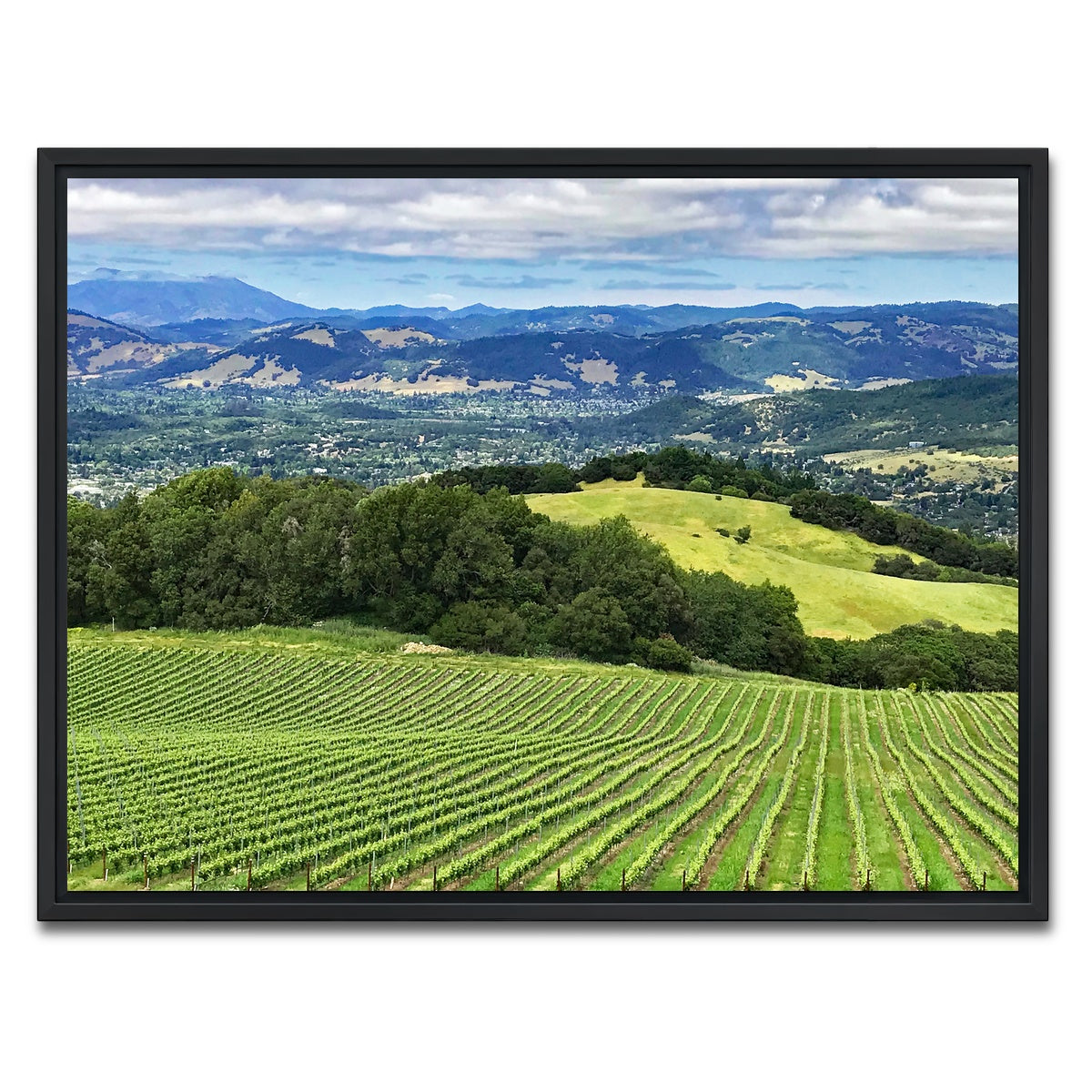 Rolling Hills and Vineyards of Sonoma County Wall Art