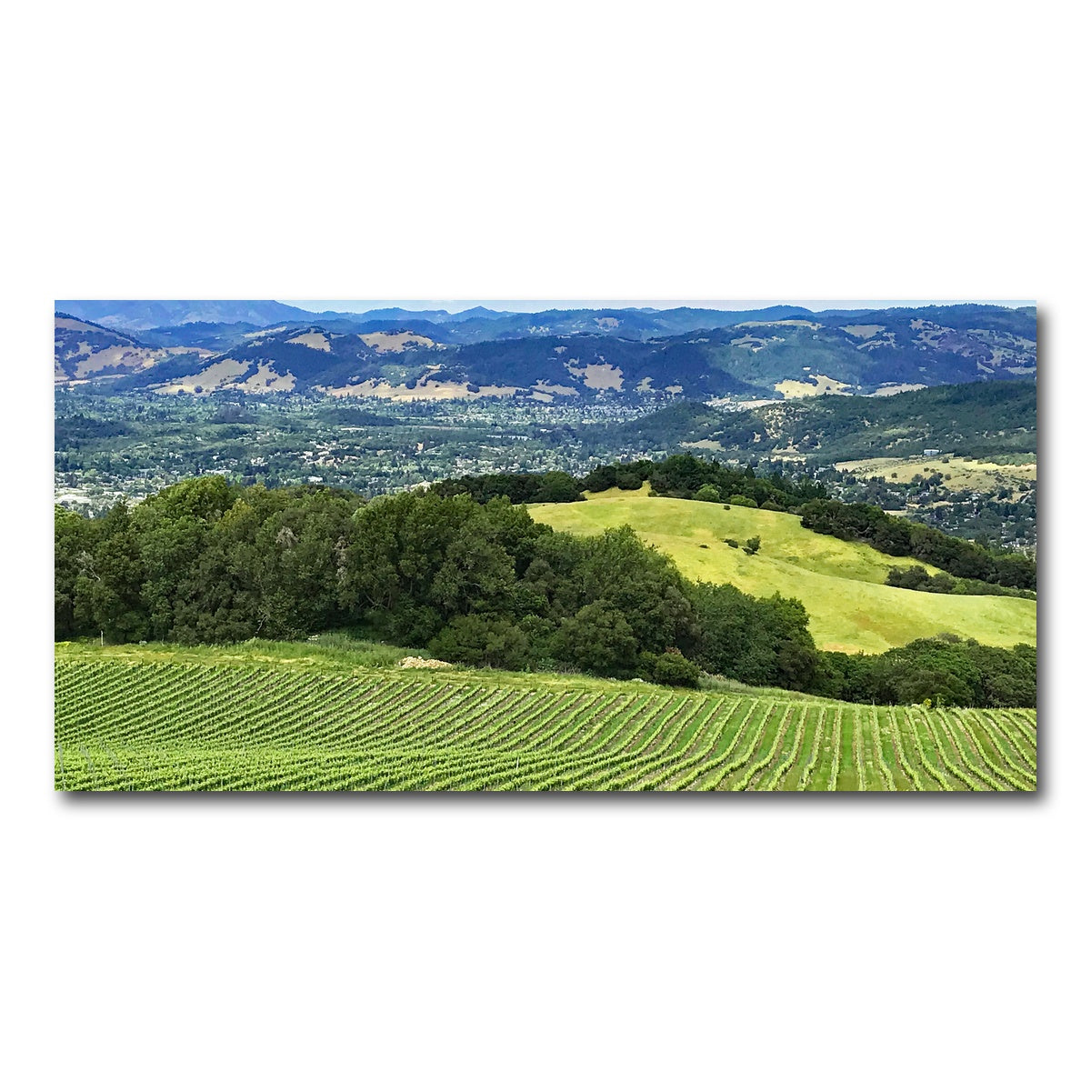 Rolling Hills and Vineyards of Sonoma County Wall Art