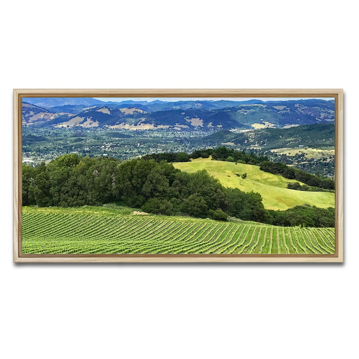 Rolling Hills and Vineyards of Sonoma County Wall Art