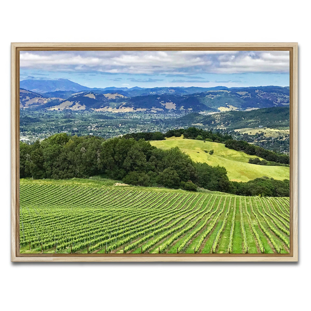 AUTO-MOCKUP WHITE | Rolling hills and vineyards of Sonoma County | 1 Piece | Natural Framed Canvas | group=4x3