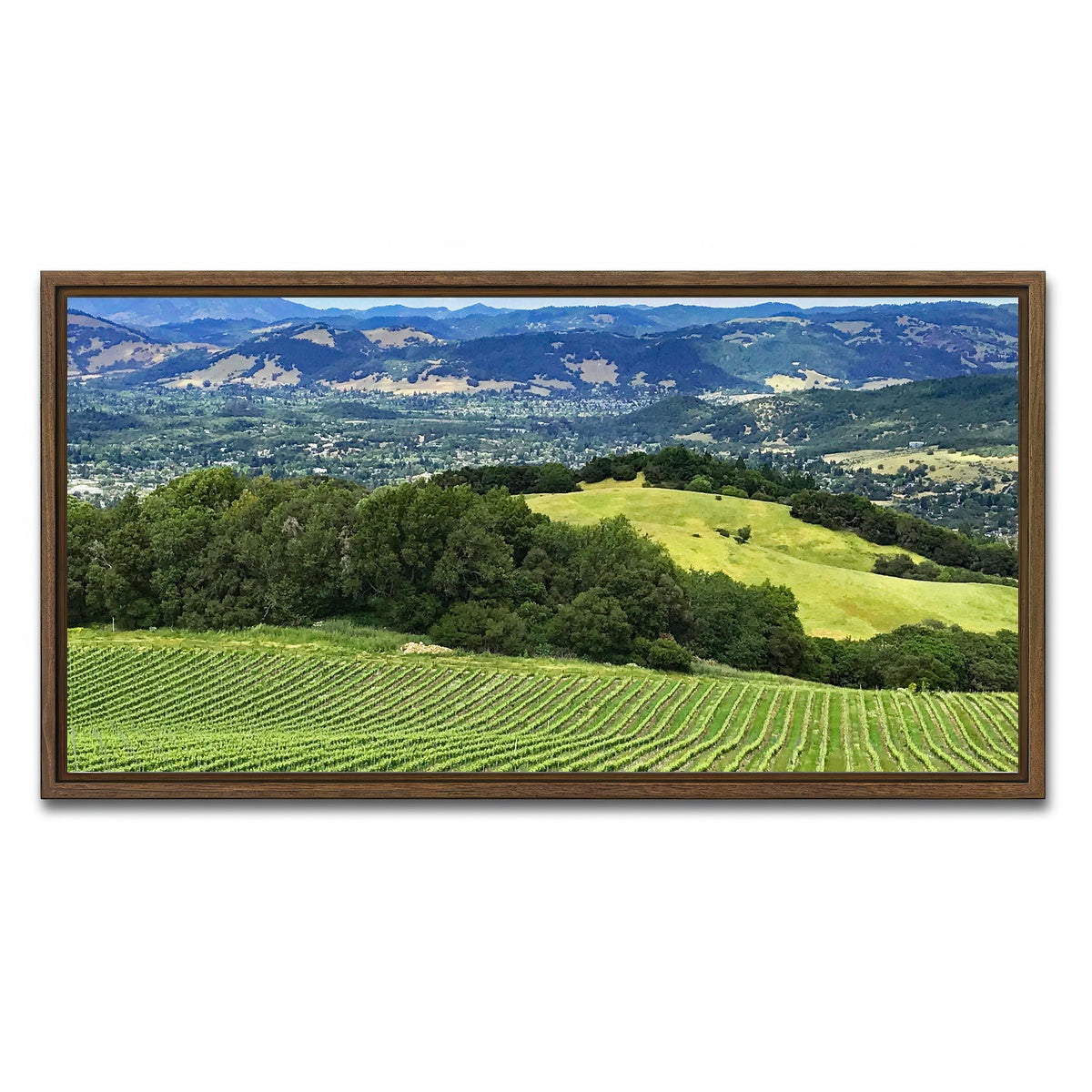 Rolling Hills and Vineyards of Sonoma County Wall Art