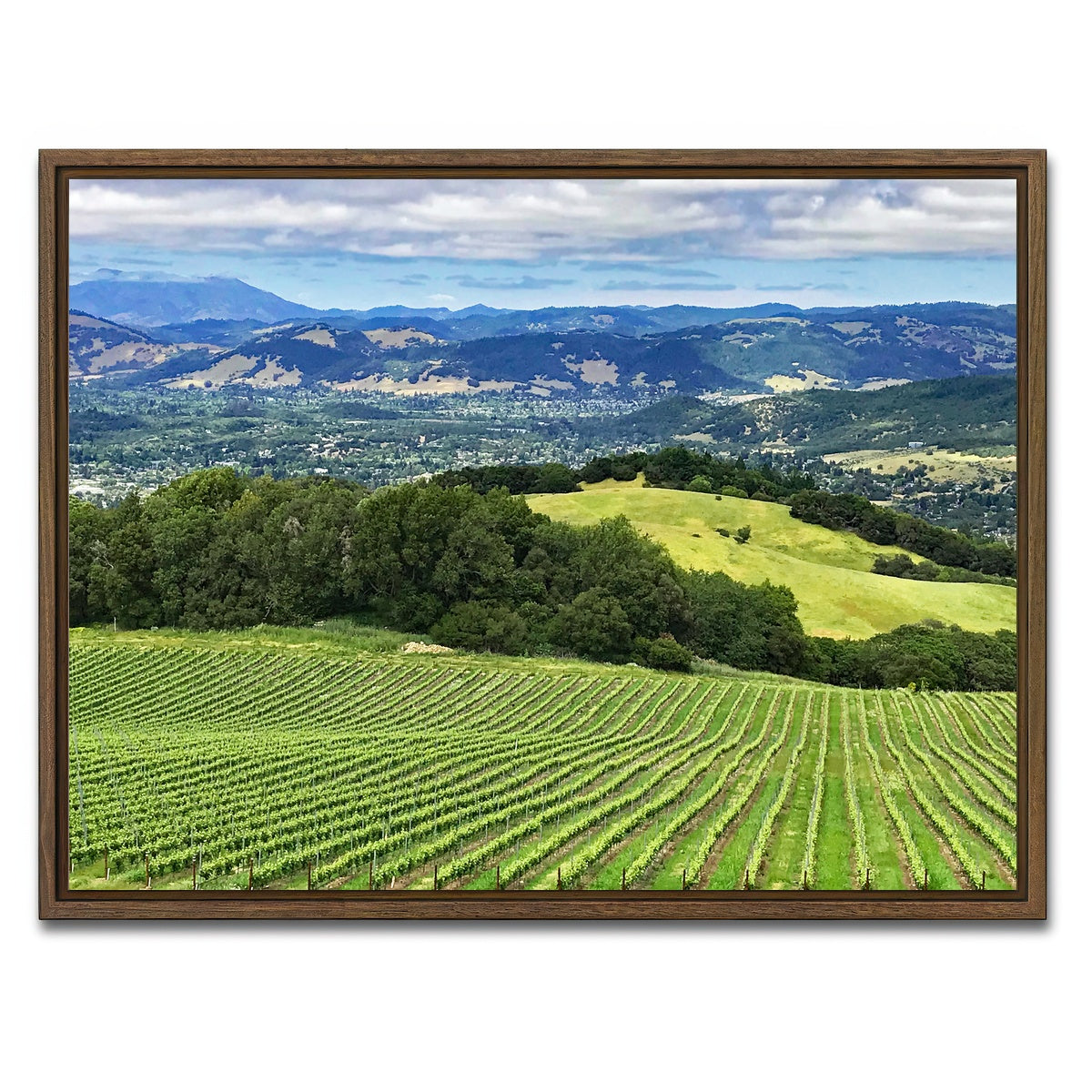 Rolling Hills and Vineyards of Sonoma County Wall Art