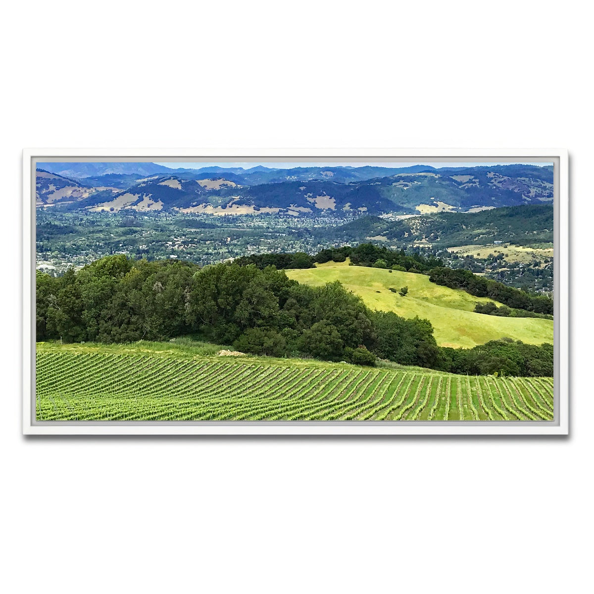 AUTO-MOCKUP WHITE | Rolling hills and vineyards of Sonoma County | 1 Piece | White Framed Canvas | group=2x1