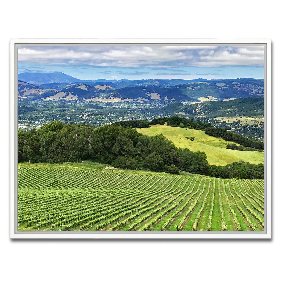 Rolling Hills and Vineyards of Sonoma County Wall Art
