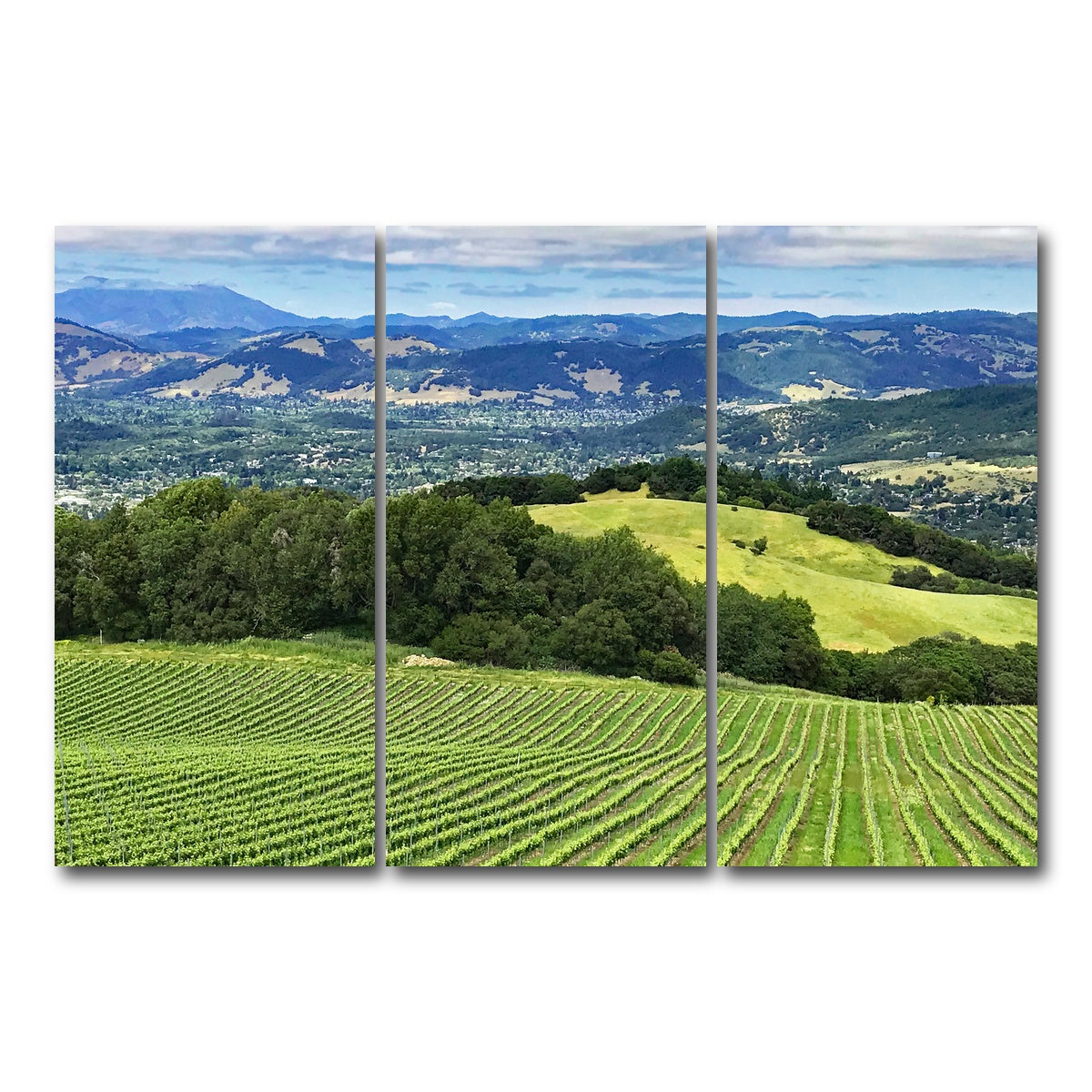 AUTO-MOCKUP WHITE | Rolling hills and vineyards of Sonoma County | 3 Piece | Gallery Wrap Canvas | group=12x24
