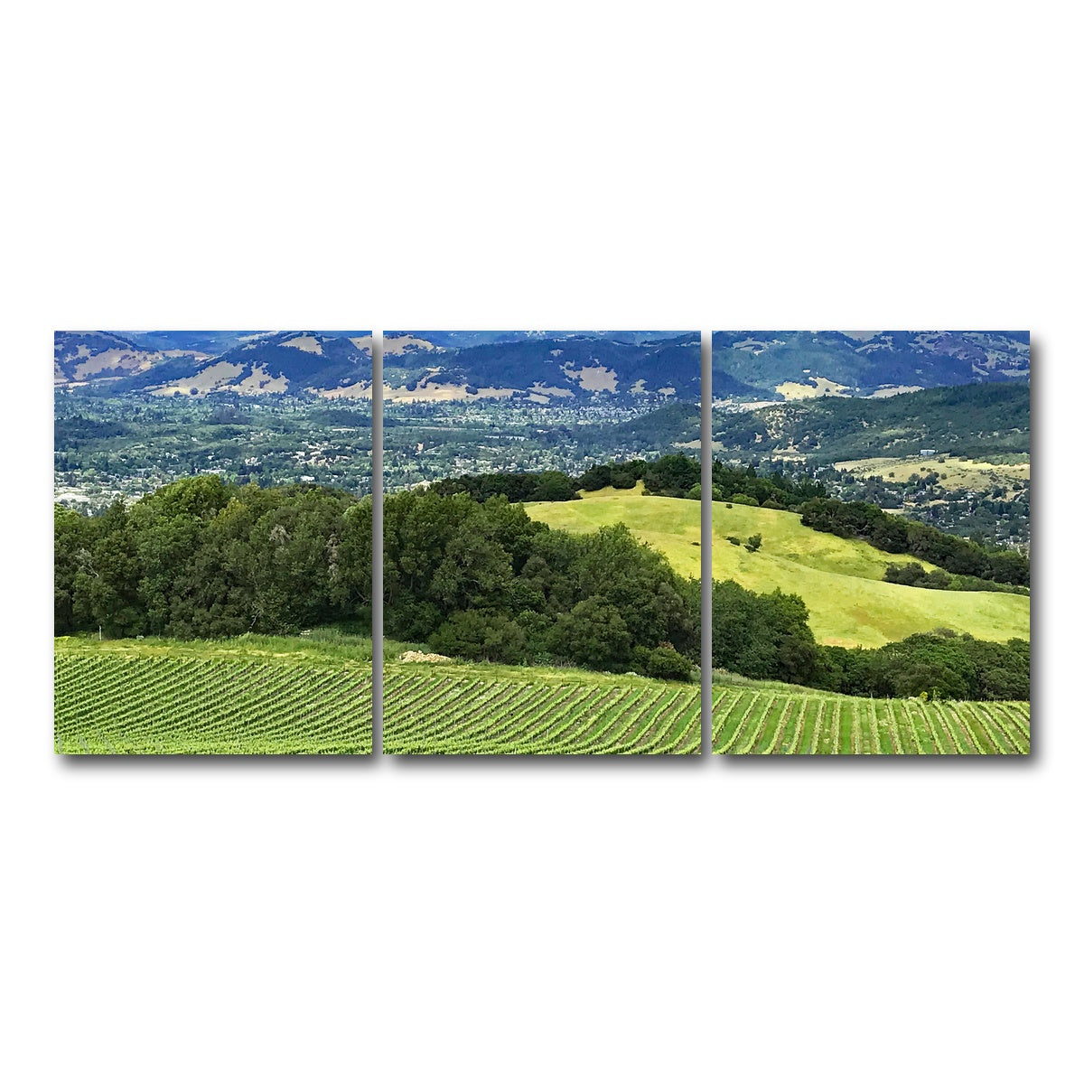 AUTO-MOCKUP WHITE | Rolling hills and vineyards of Sonoma County | 3 Piece | Gallery Wrap Canvas | group=18x24