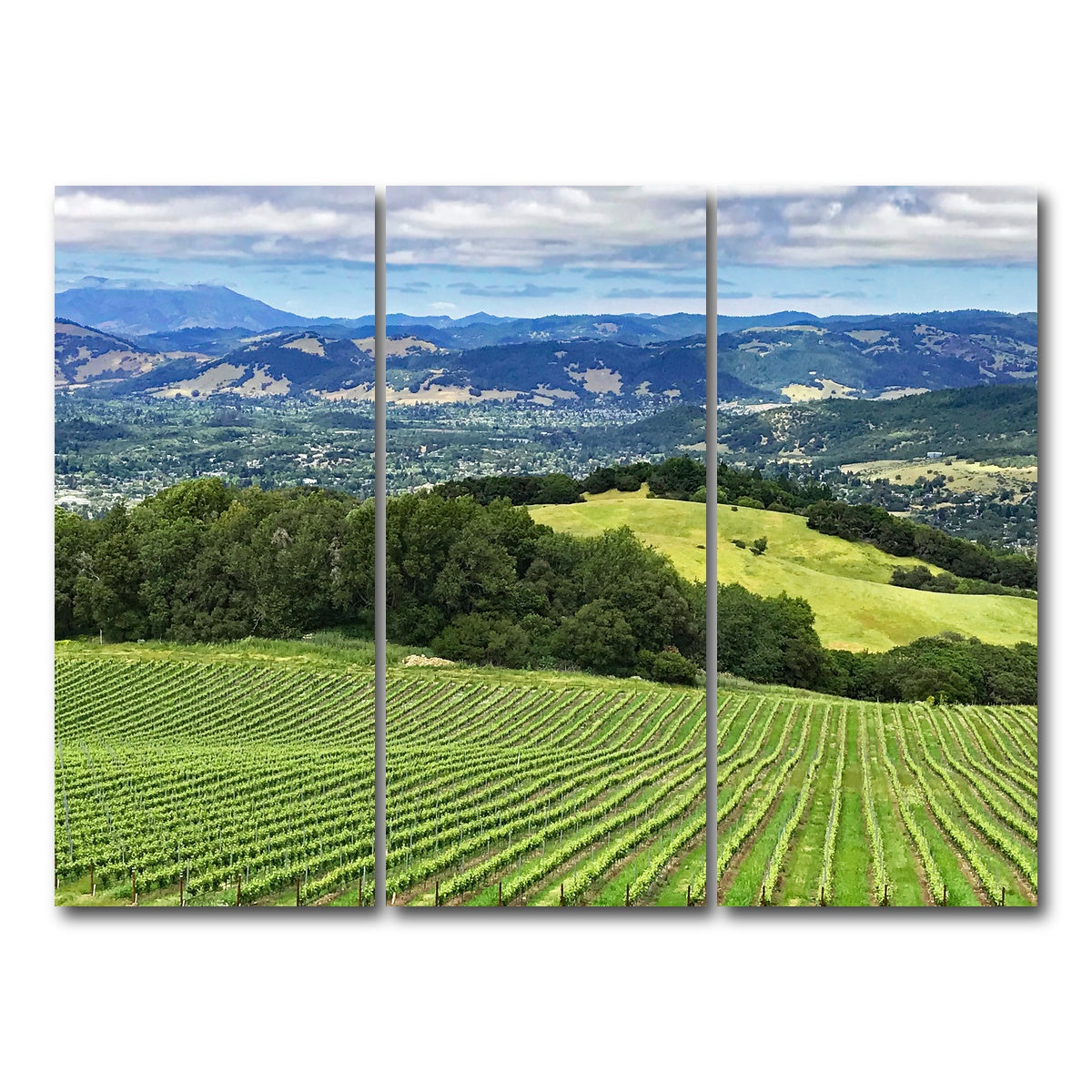 Rolling Hills and Vineyards of Sonoma County Wall Art
