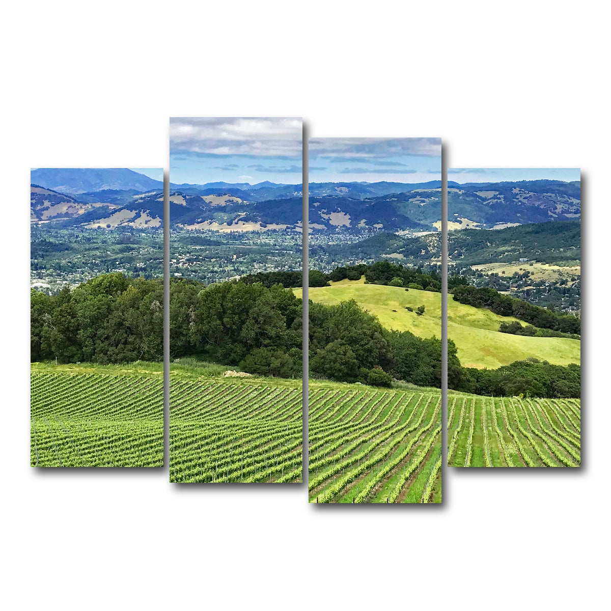 Rolling Hills and Vineyards of Sonoma County Wall Art