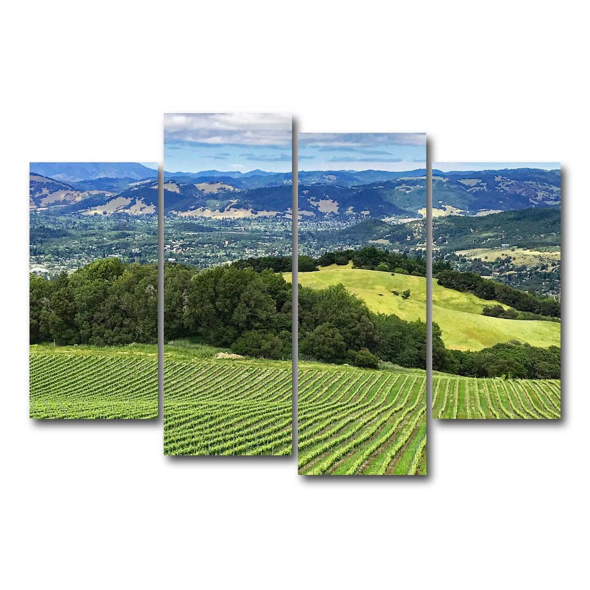 AUTO-MOCKUP WHITE | Rolling hills and vineyards of Sonoma County | 4 Piece | Gallery Wrap Canvas | group=4_short
