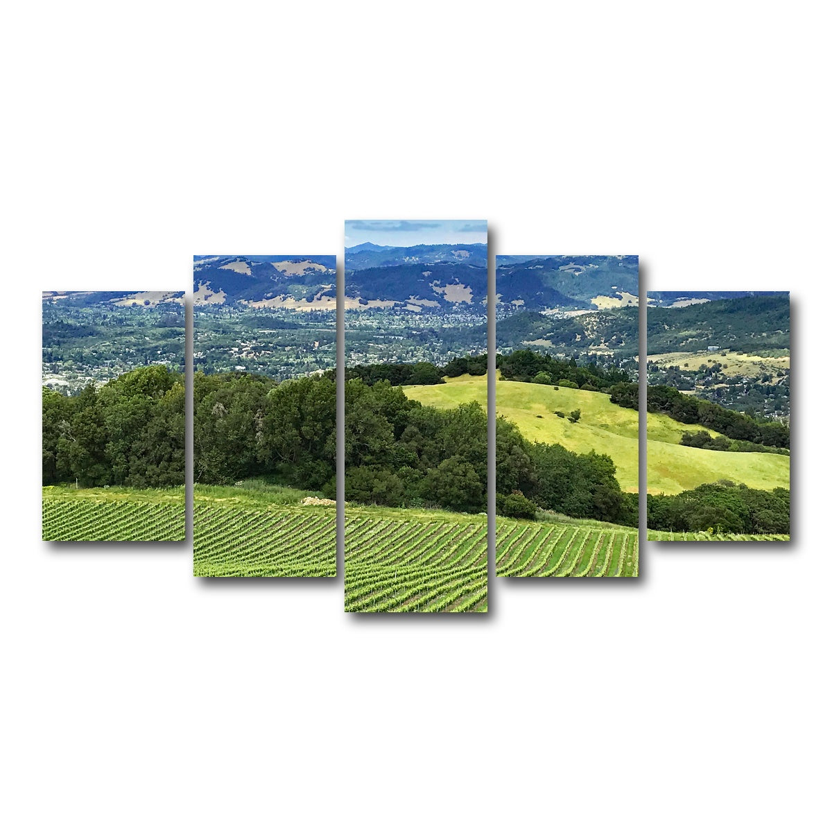 Rolling Hills and Vineyards of Sonoma County Wall Art