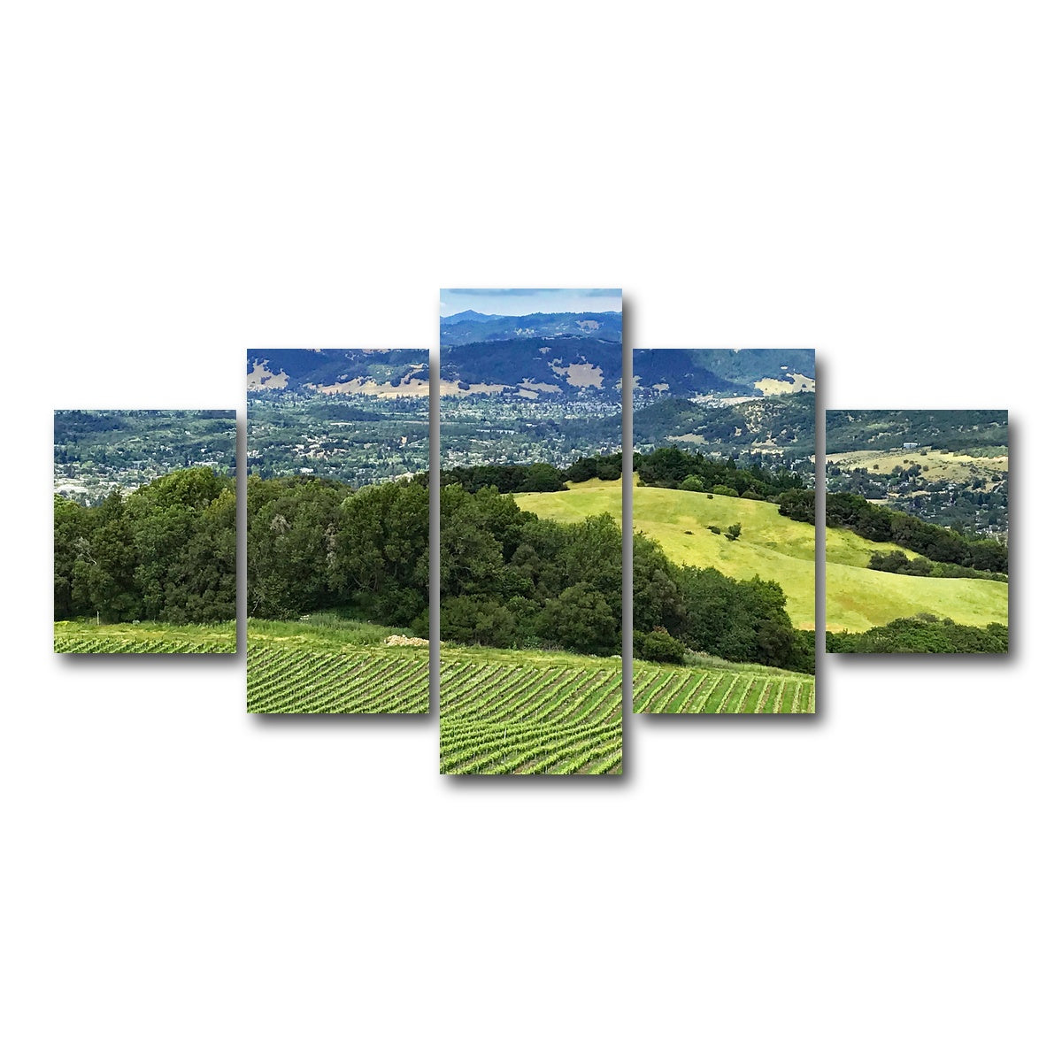 Rolling Hills and Vineyards of Sonoma County Wall Art