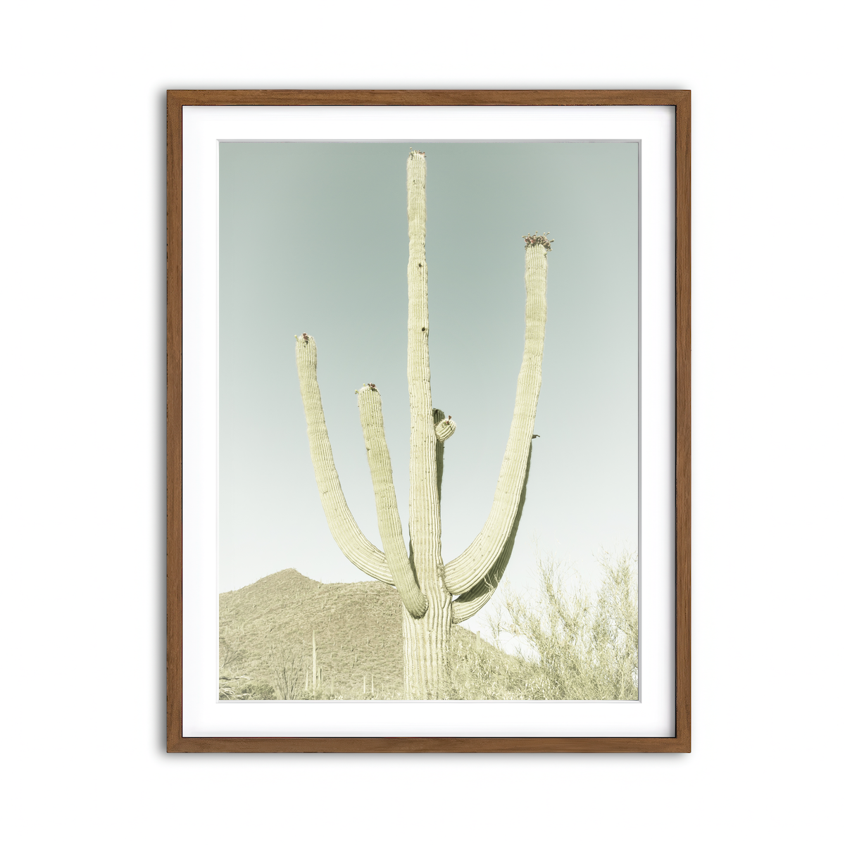 Framed Print 3x4 Walnut