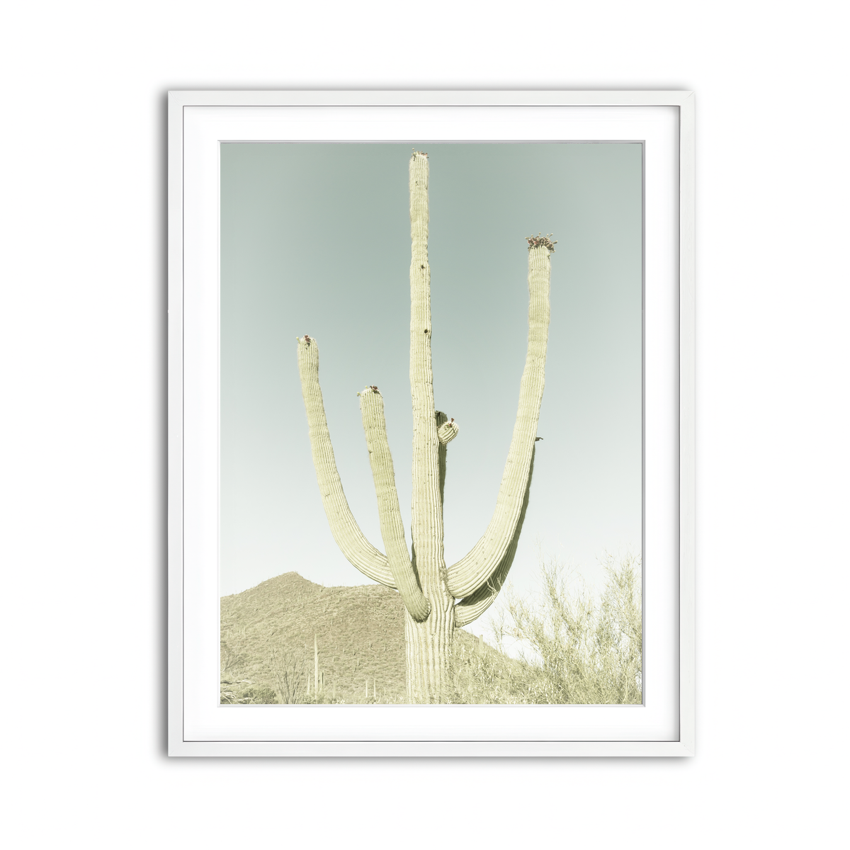 Framed Print 3x4 White